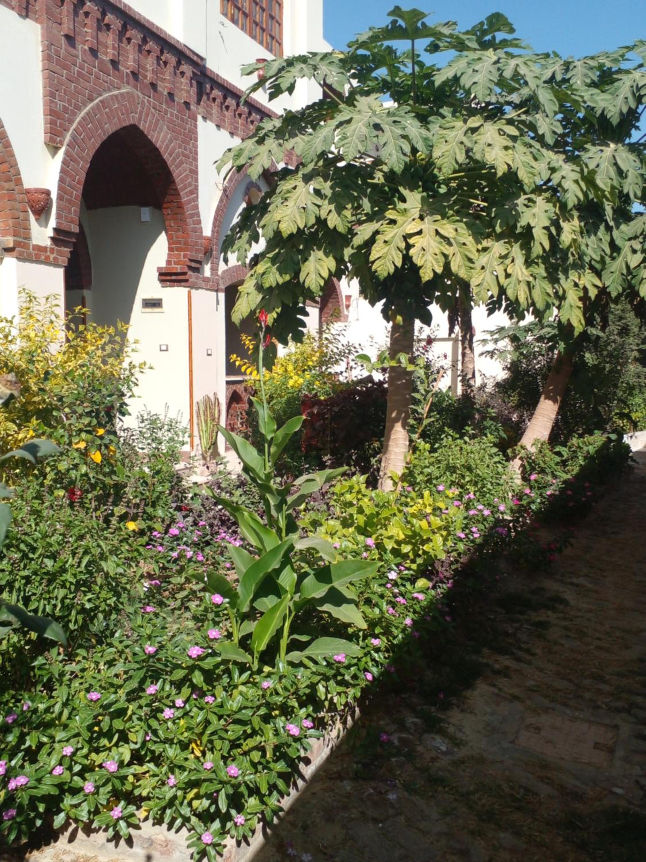 Tasneem Palace — photo 55
