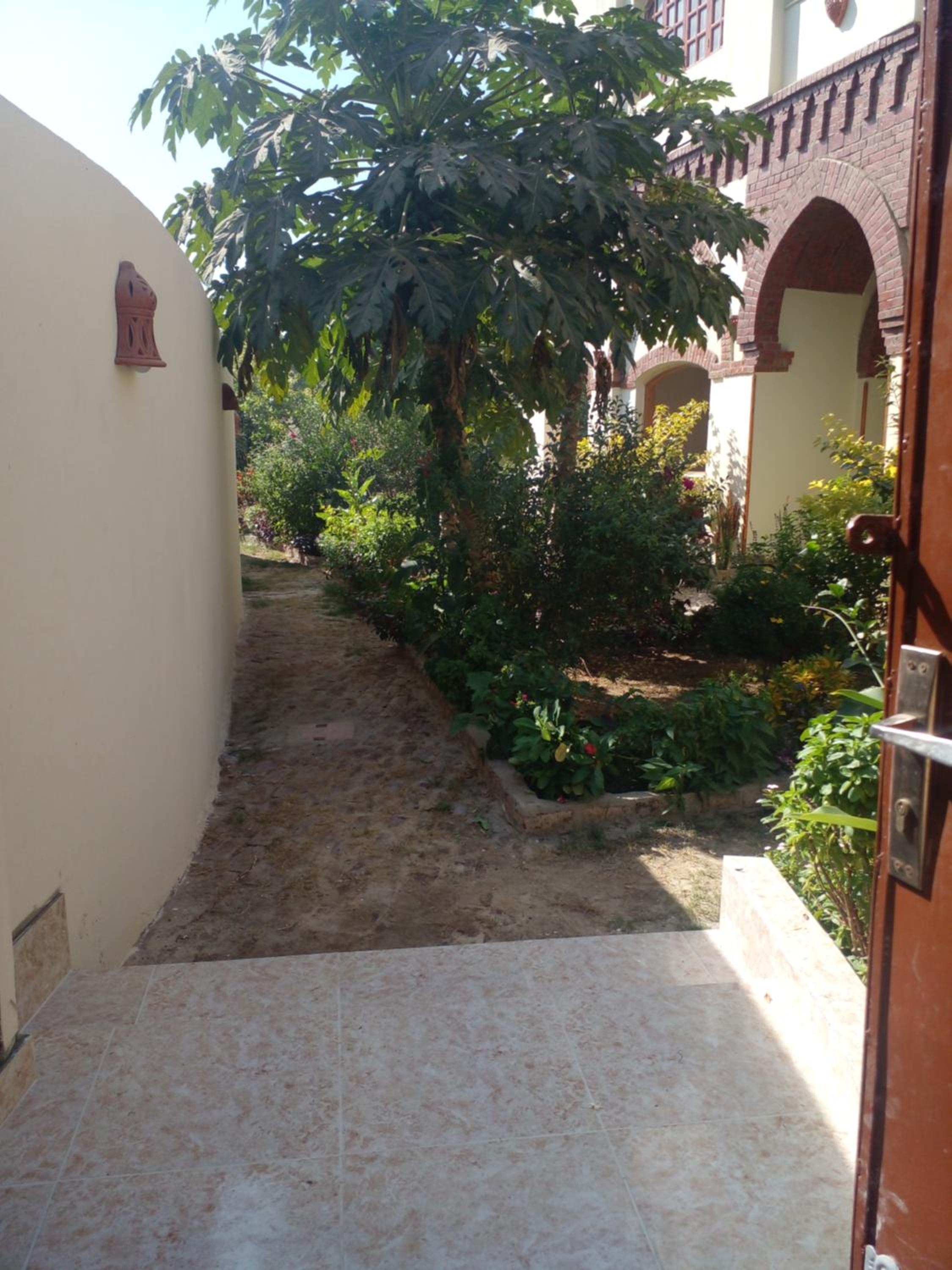 Photo 44