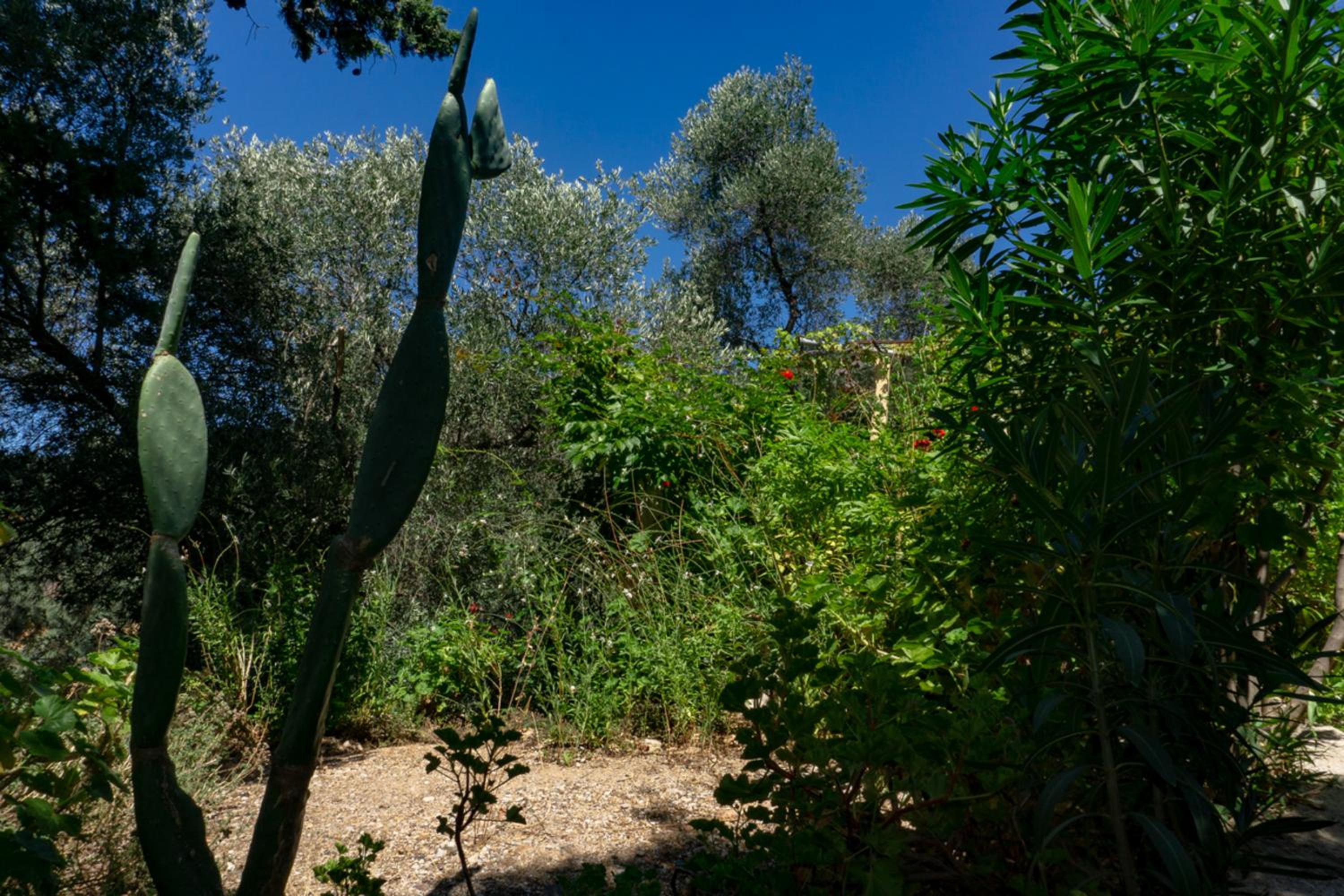 Photo 11
