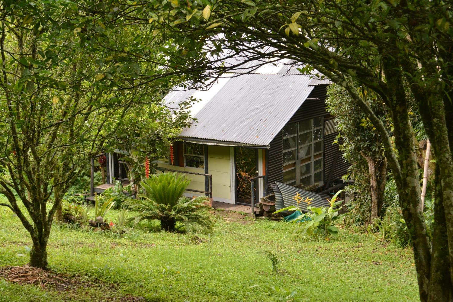 Skale Peregrino