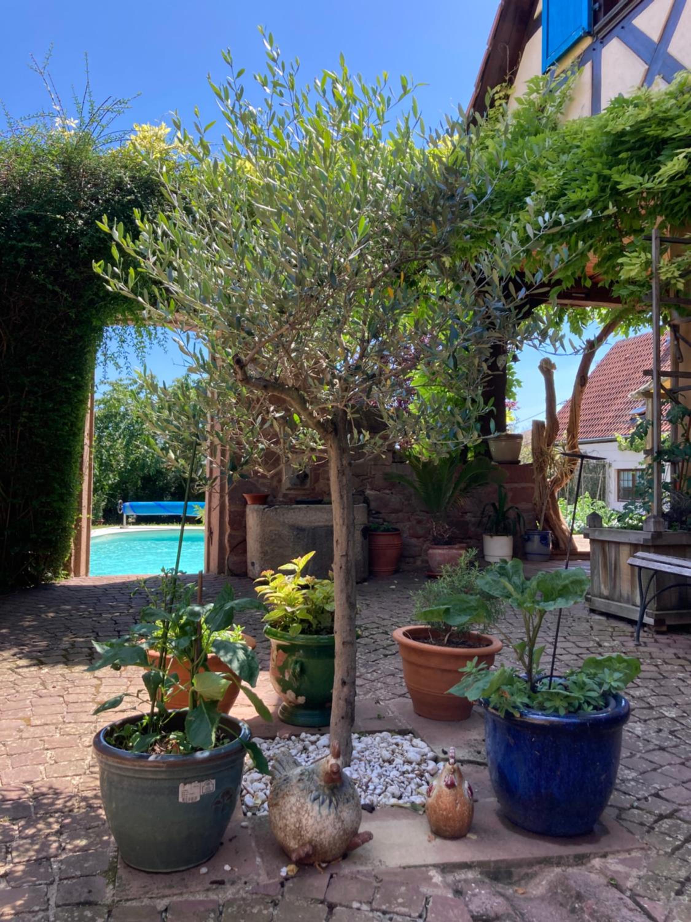 Photo 19