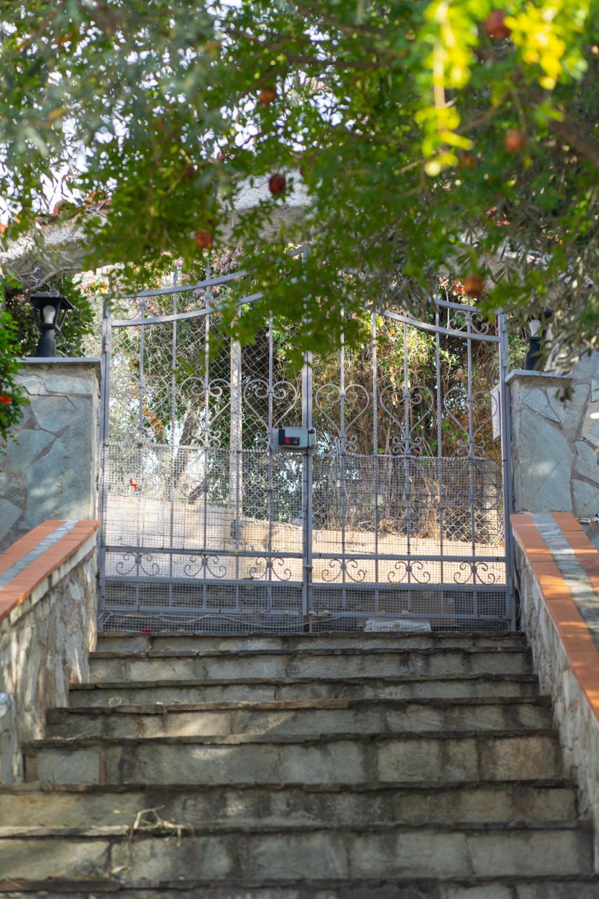 Photo 44