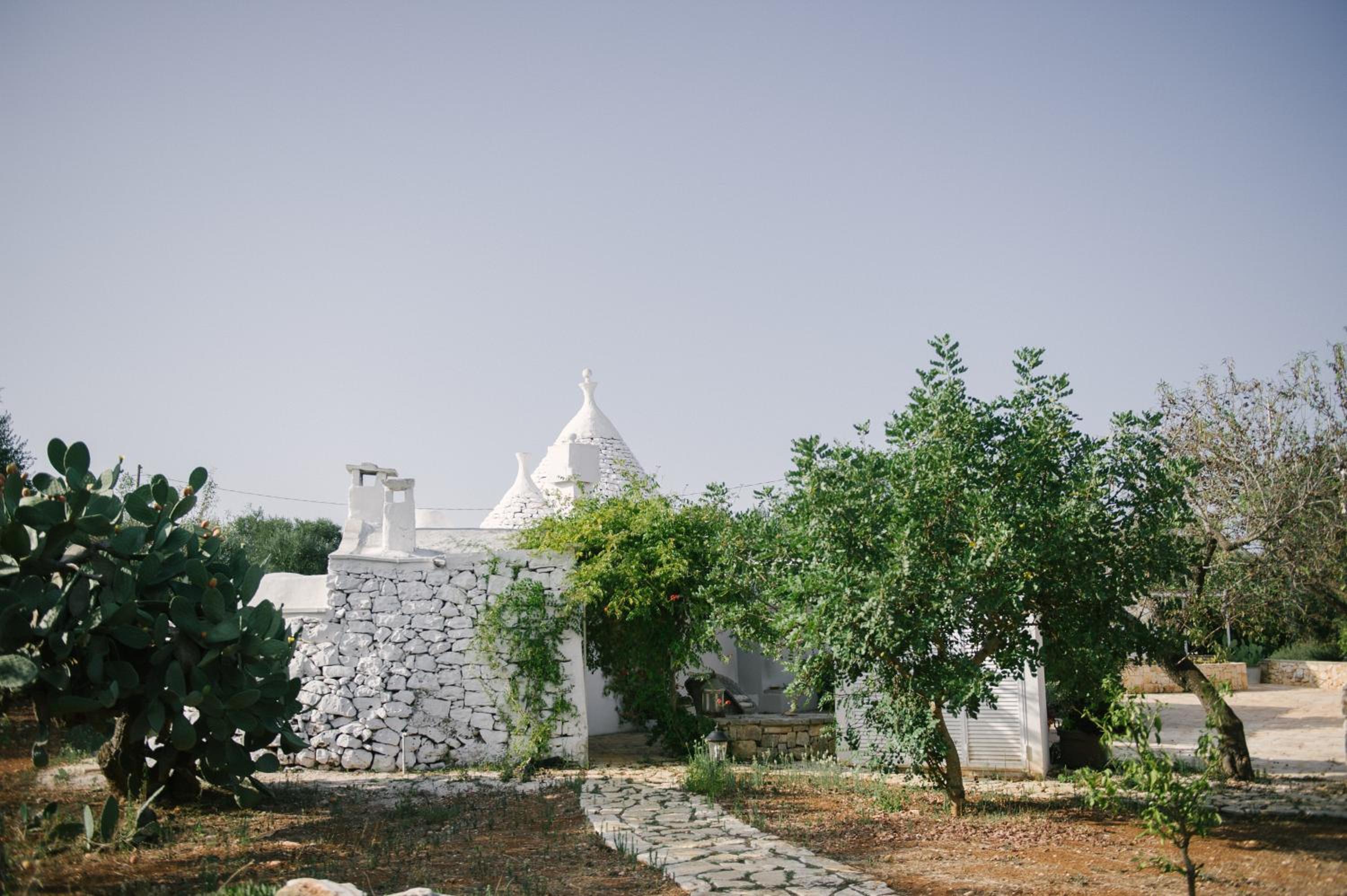 Photo 46