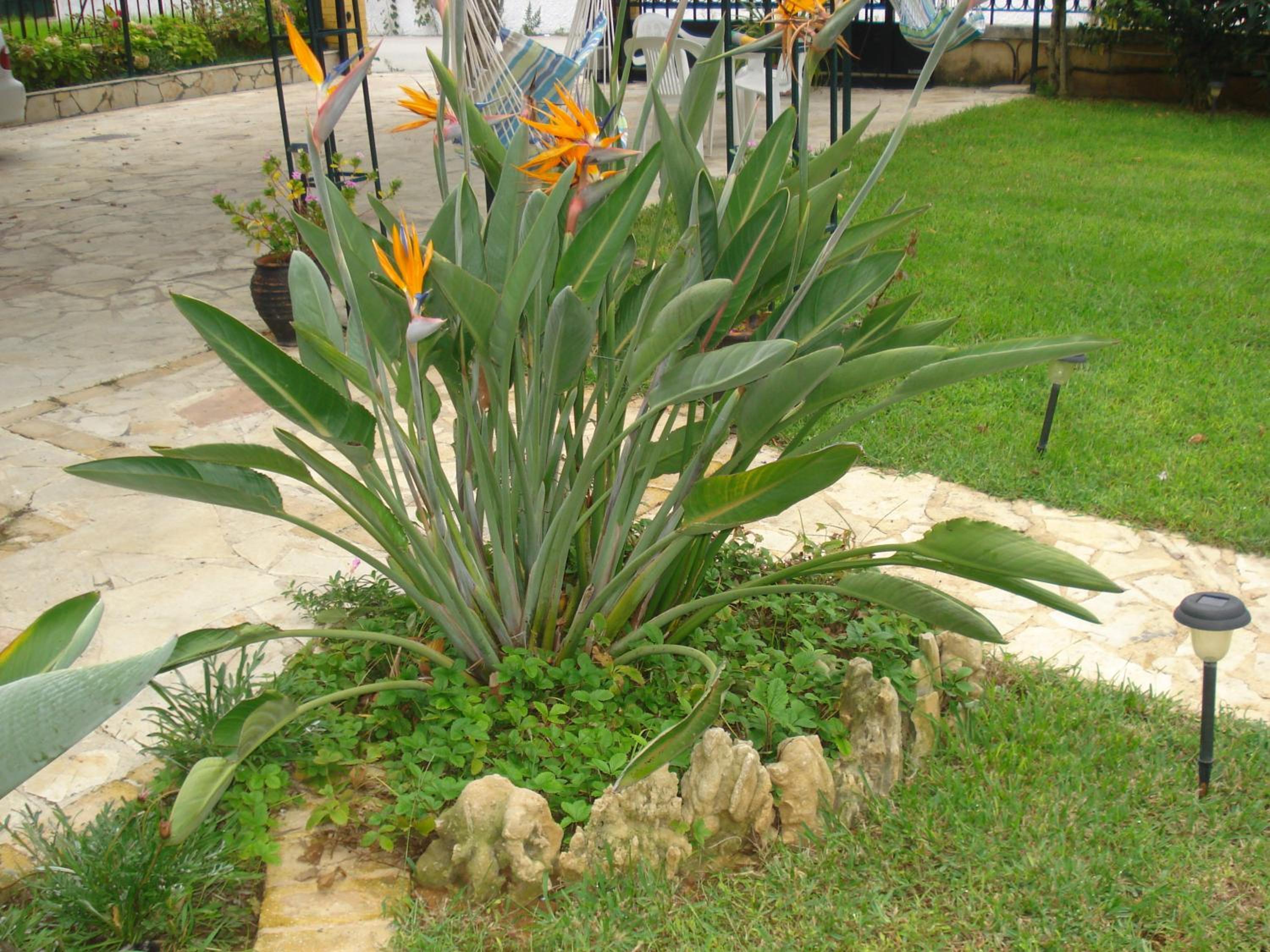 Photo 33