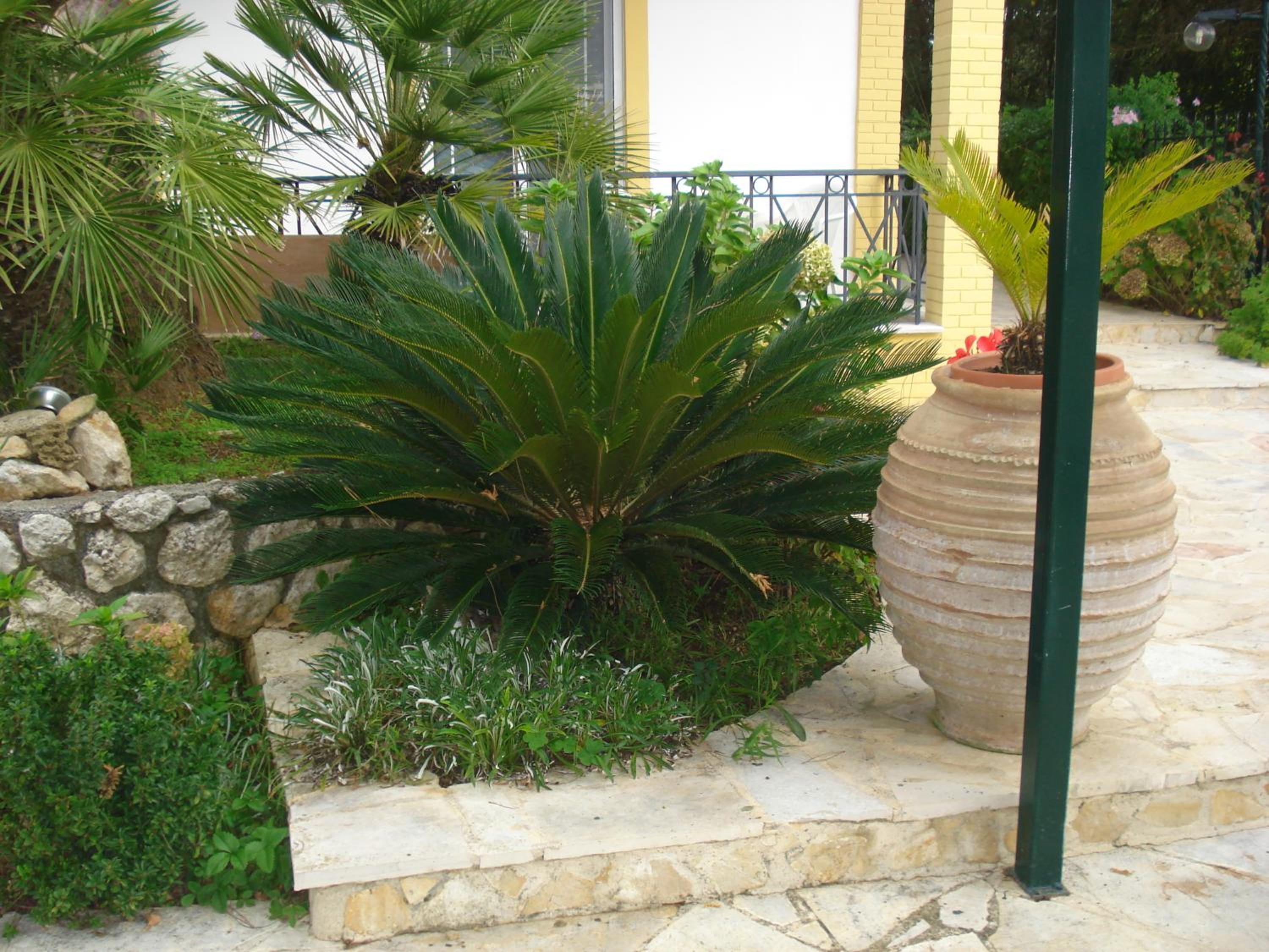 Photo 46