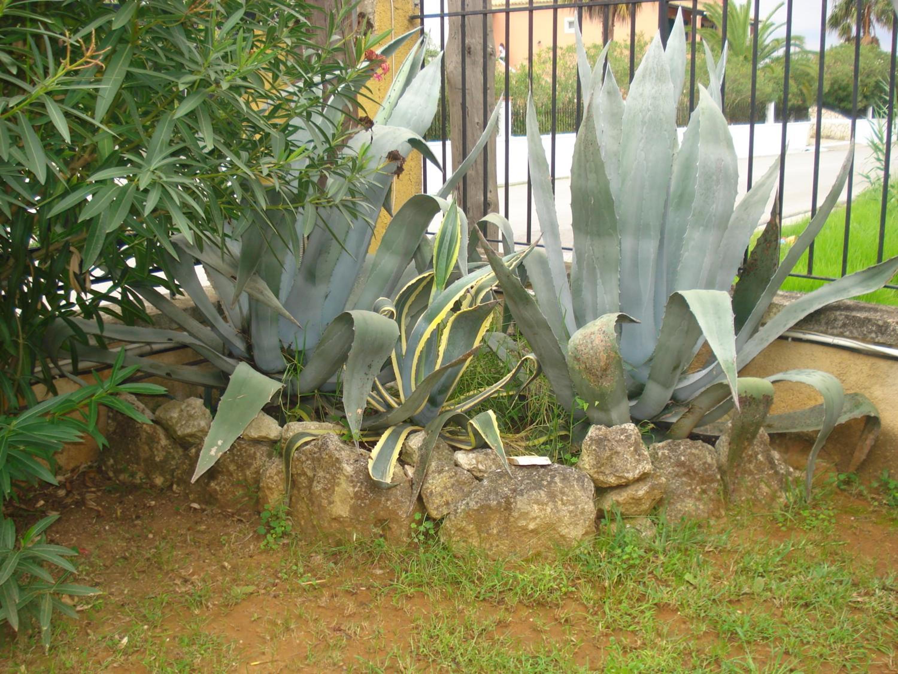 Photo 34