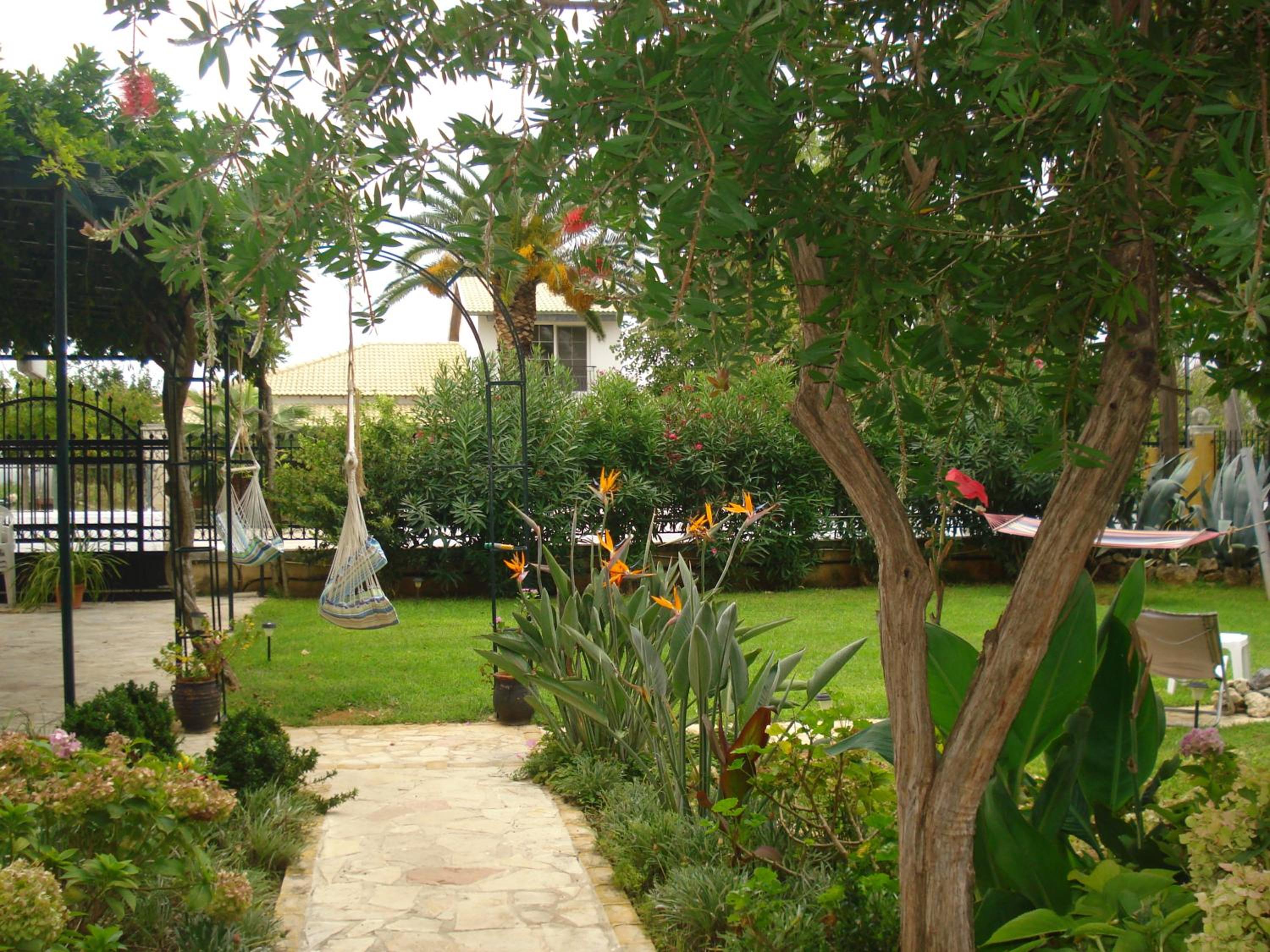 Photo 31