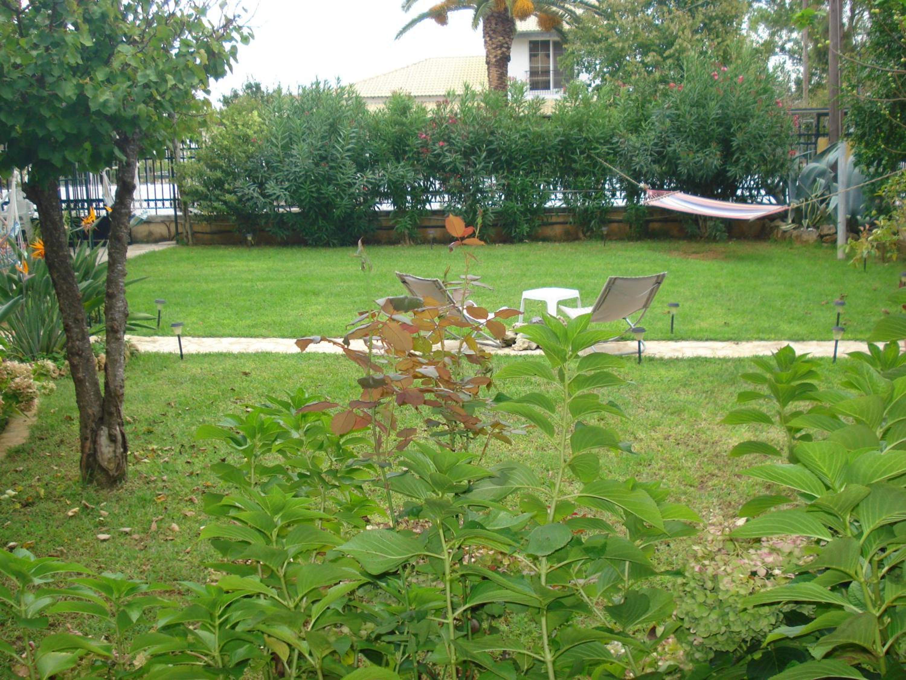 Photo 88