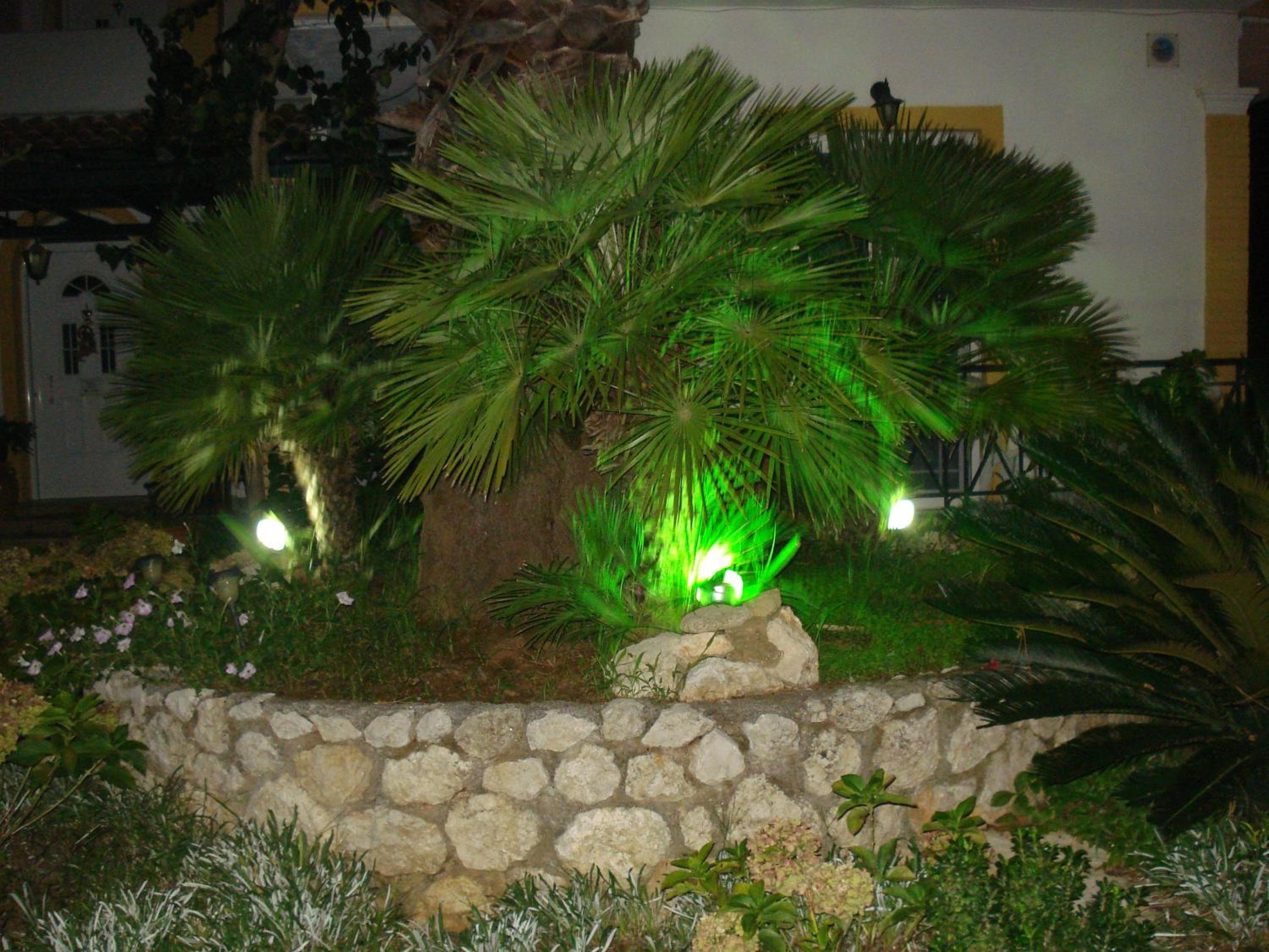 Photo 35