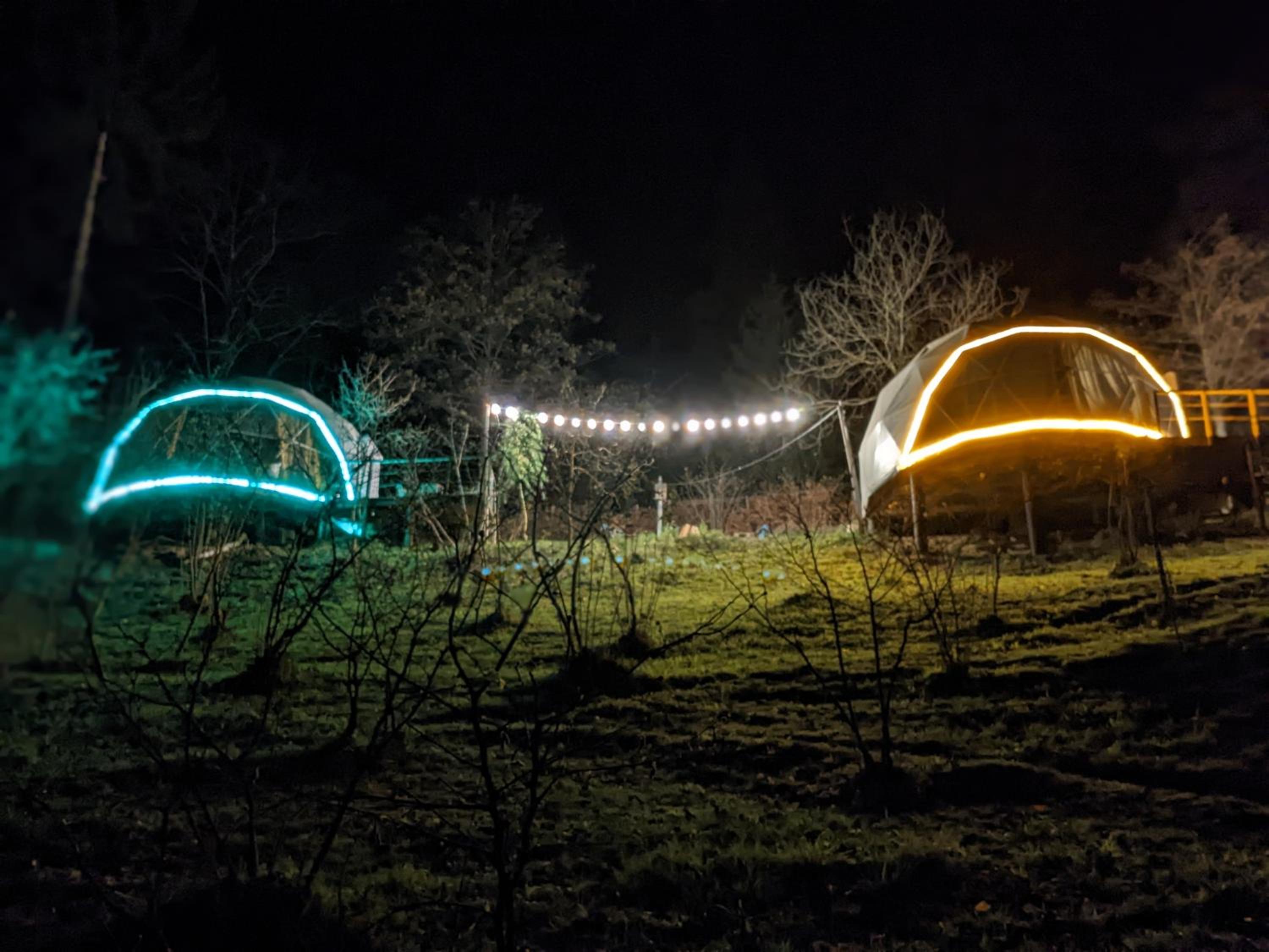 Ajara Glamping Kokotauri view 5