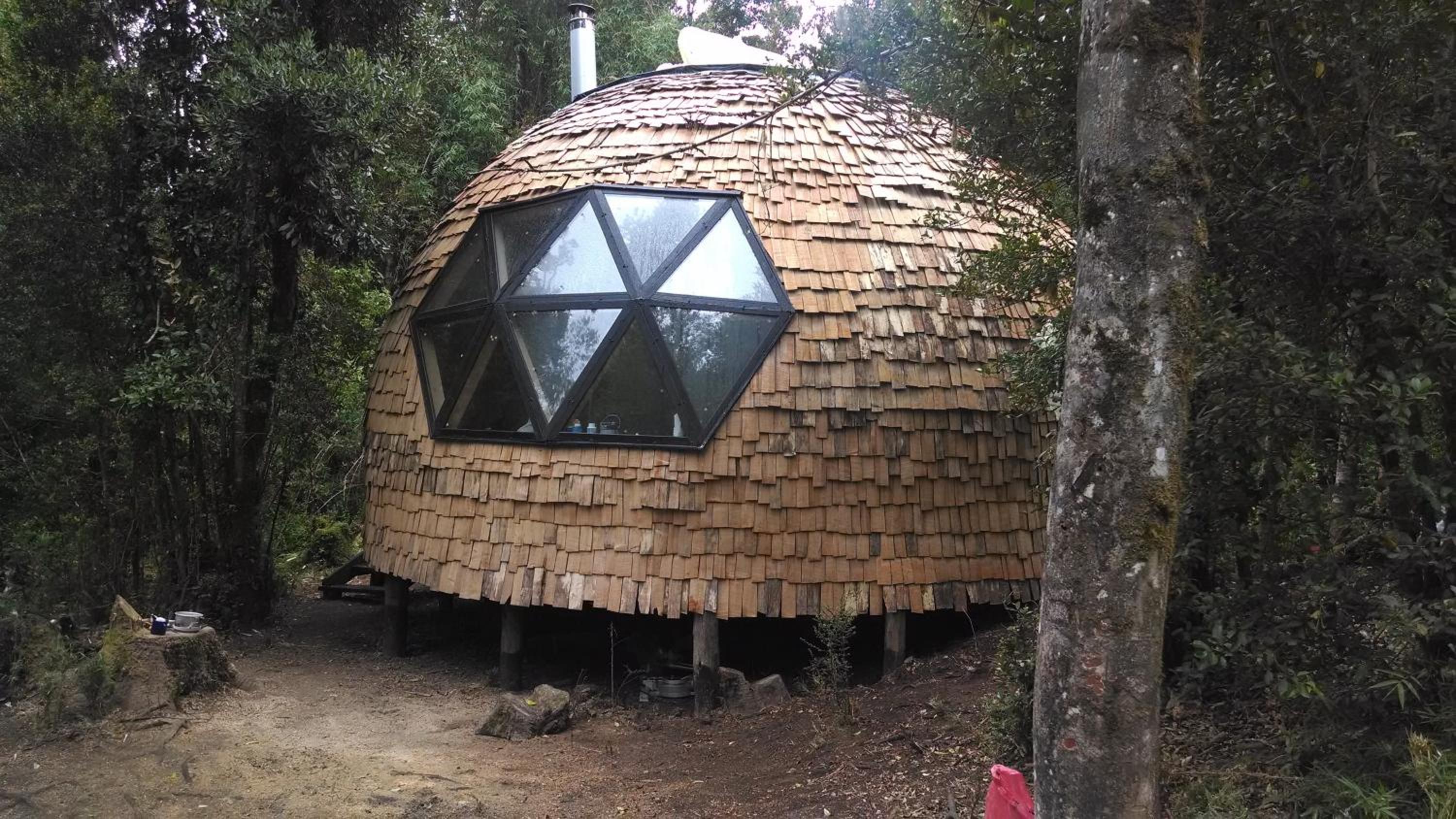 Domo del bosque