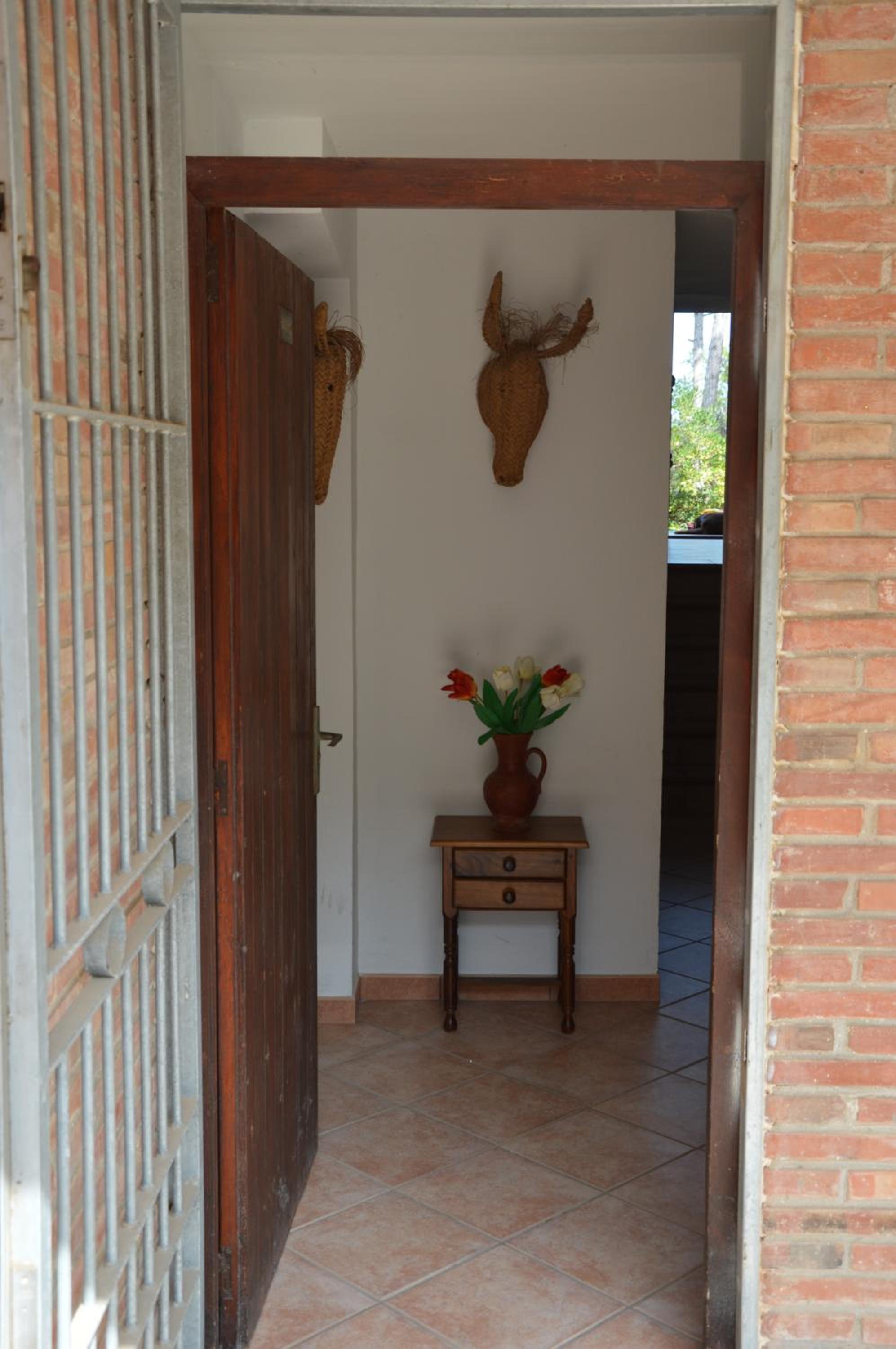 Photo 34
