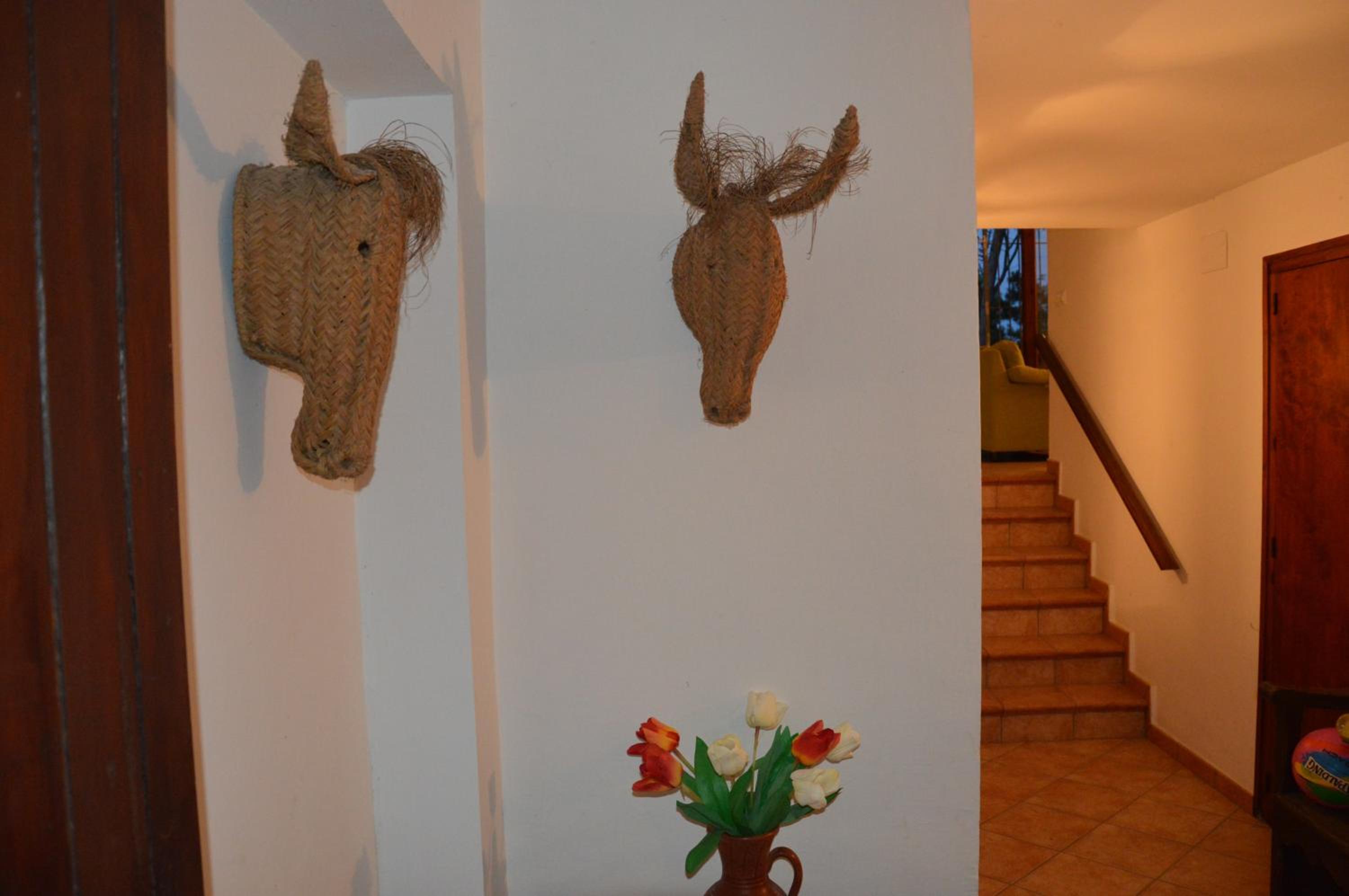 Photo 35