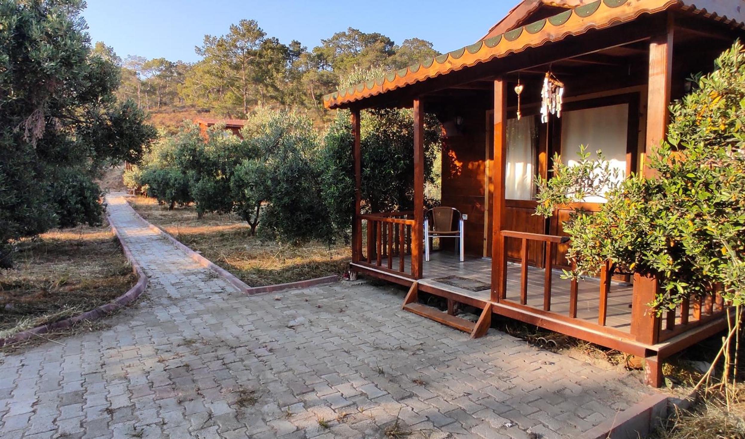 olive garden bungalow