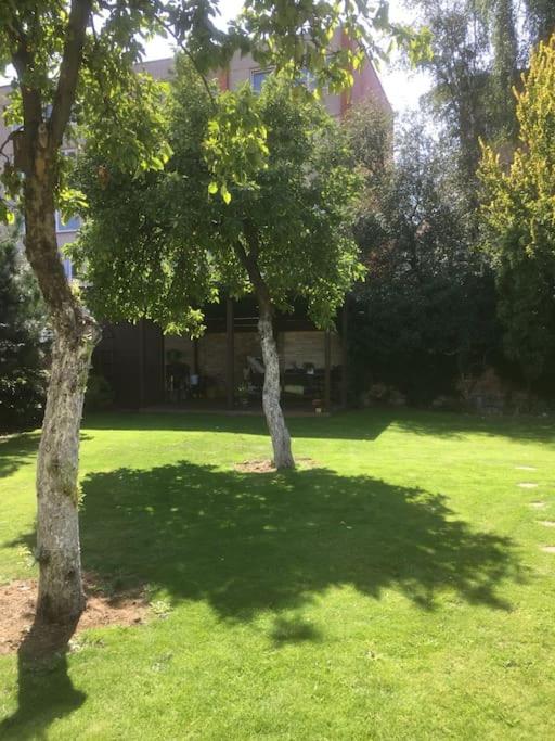 New House, Private Garden & Parking City Center view 3