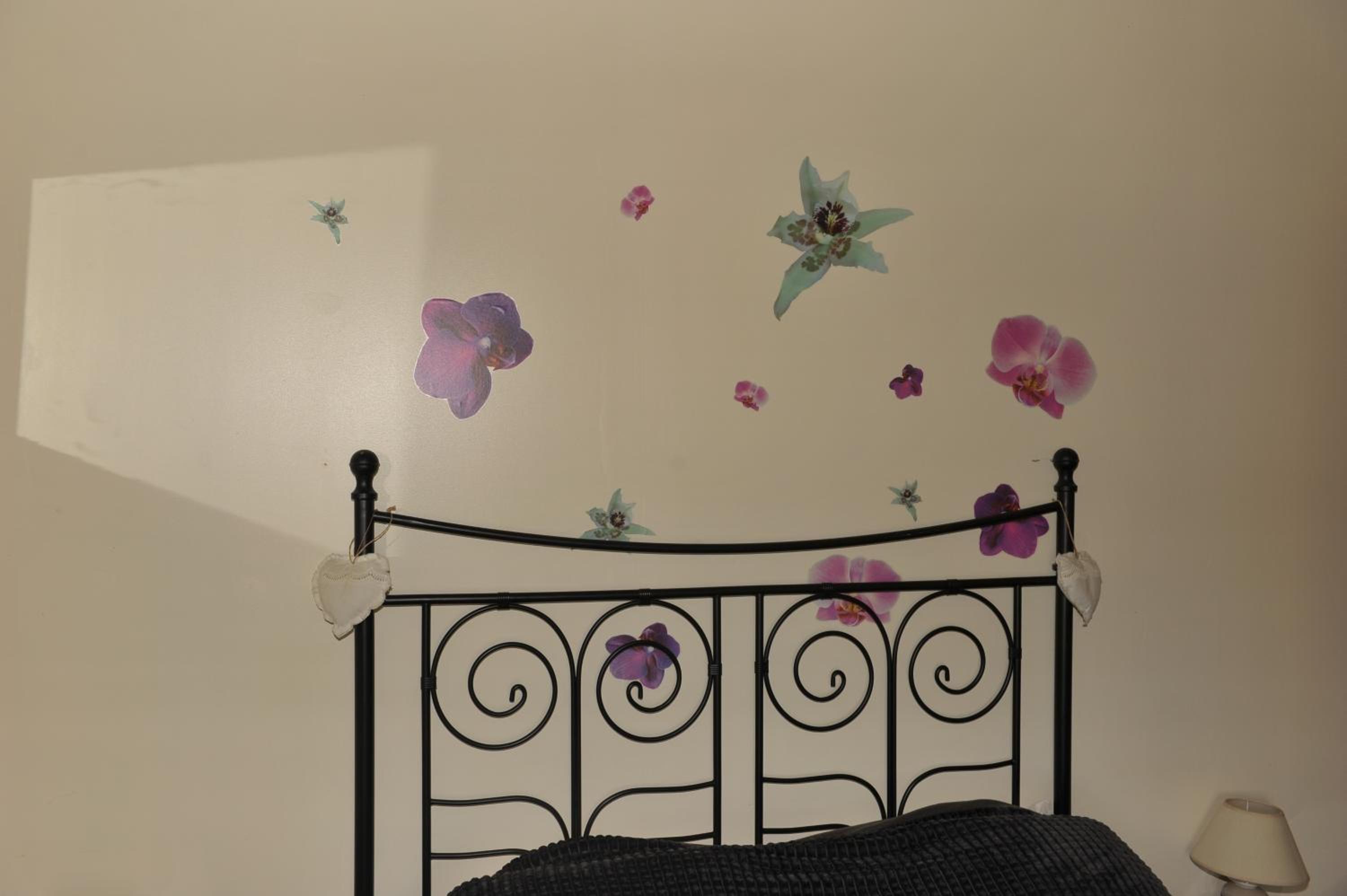 Photo 44