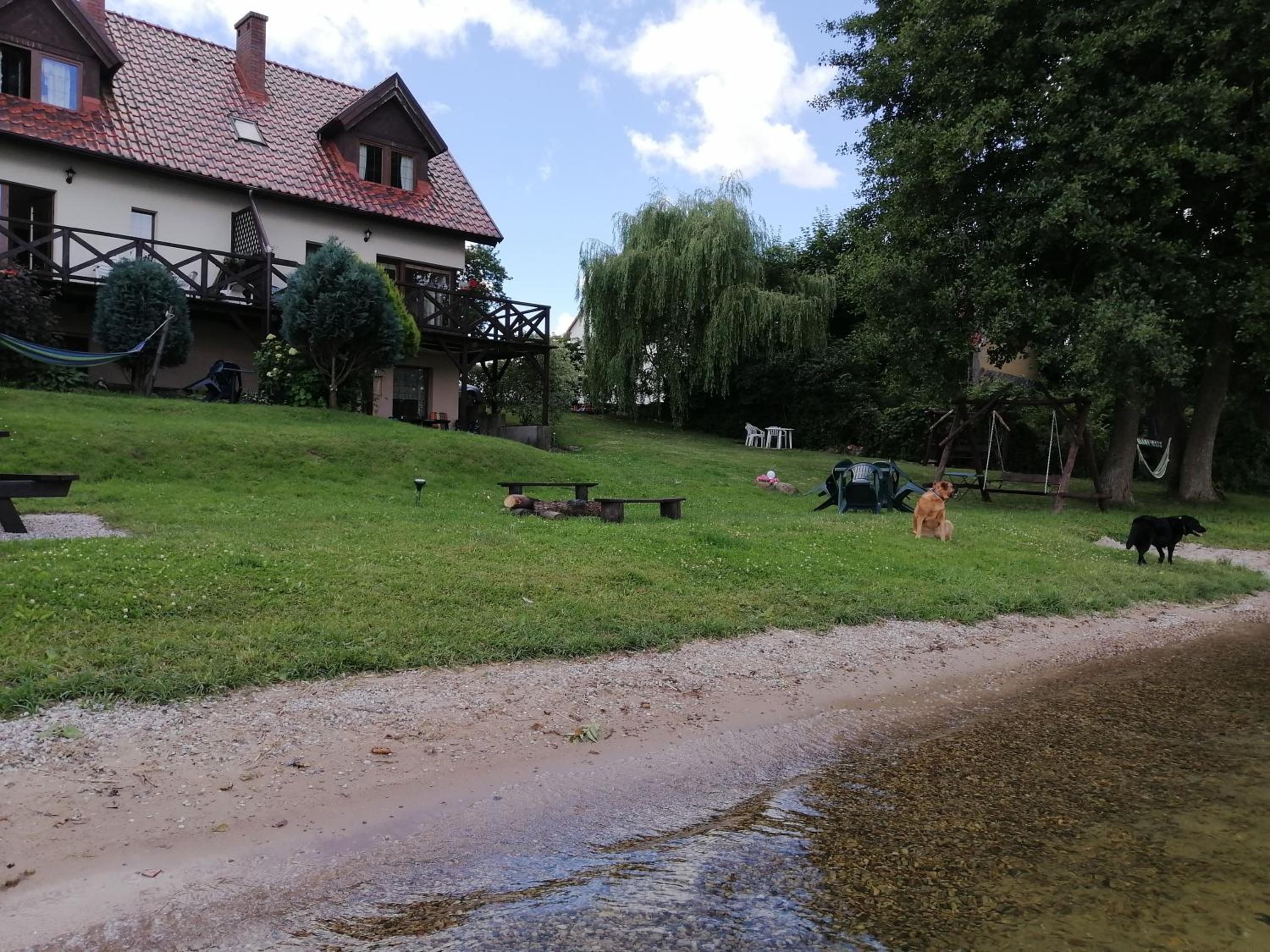 Photo 9