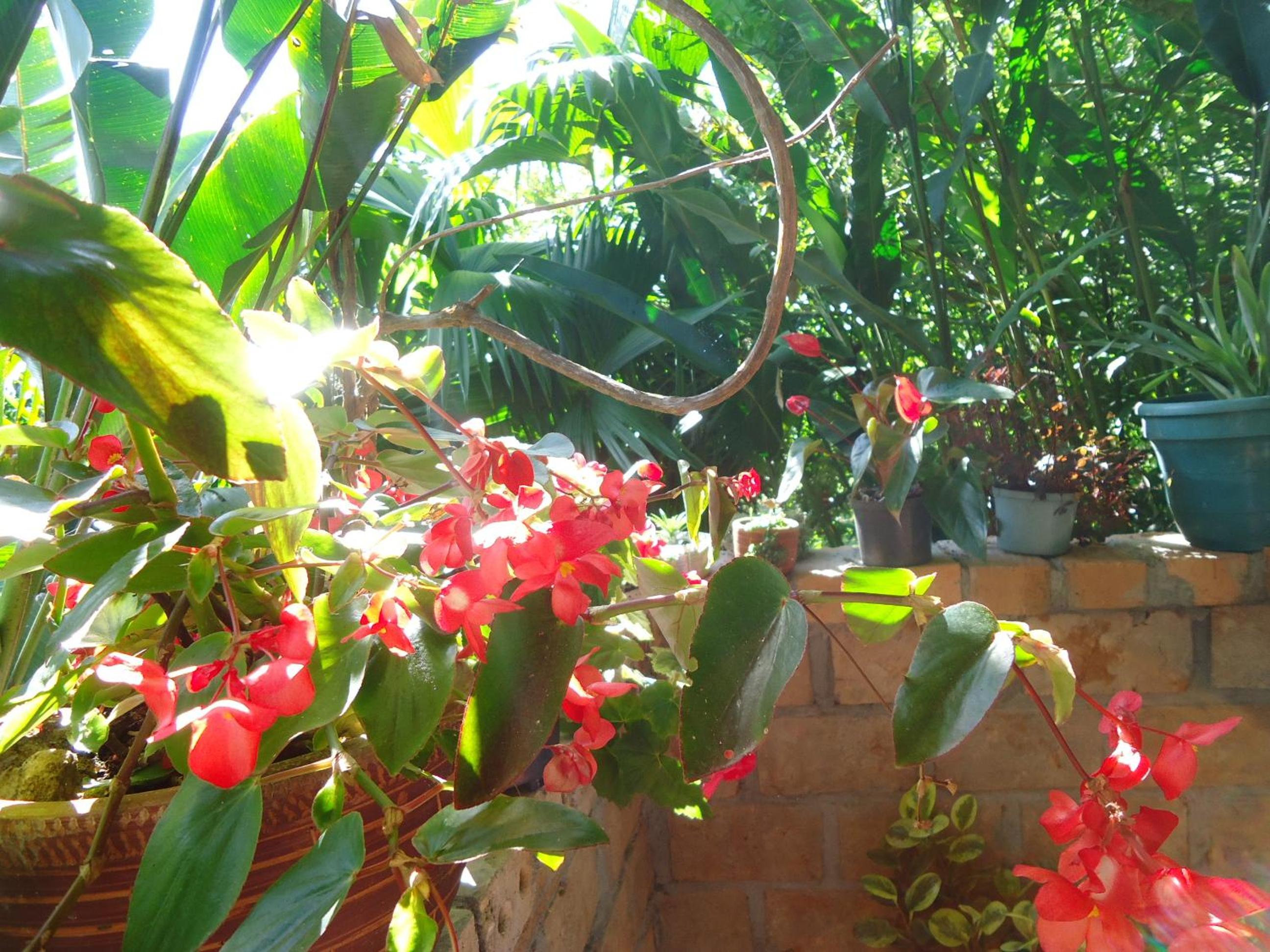 Hostal Pachamama