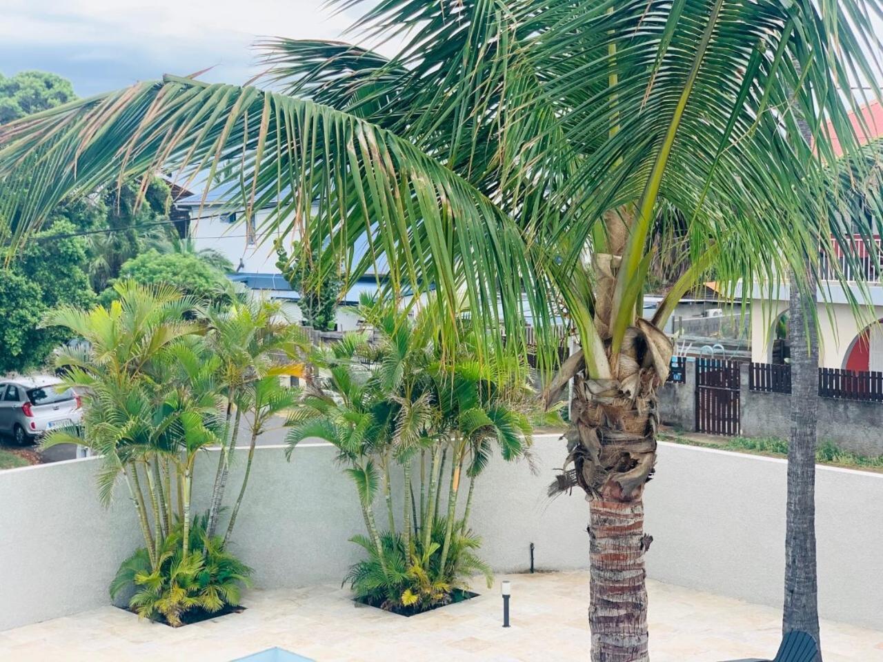LE NID TROPICAL view 5