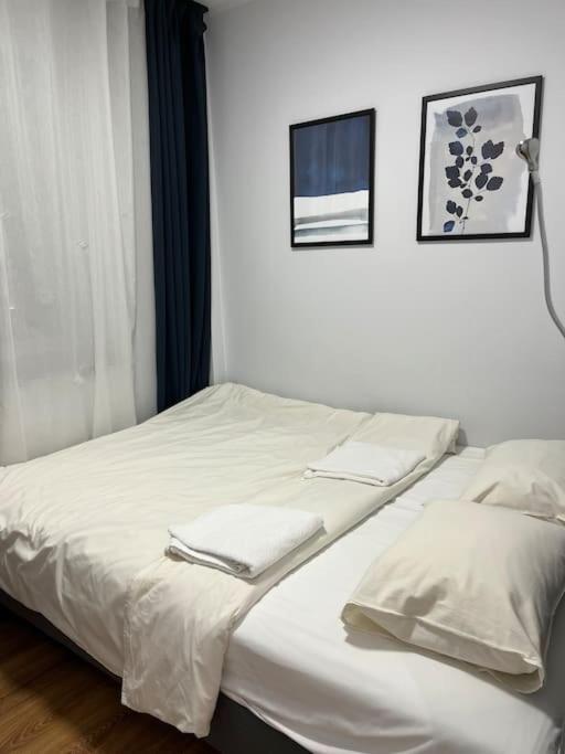Komfortowe apartamenty w centrum Wrocławia