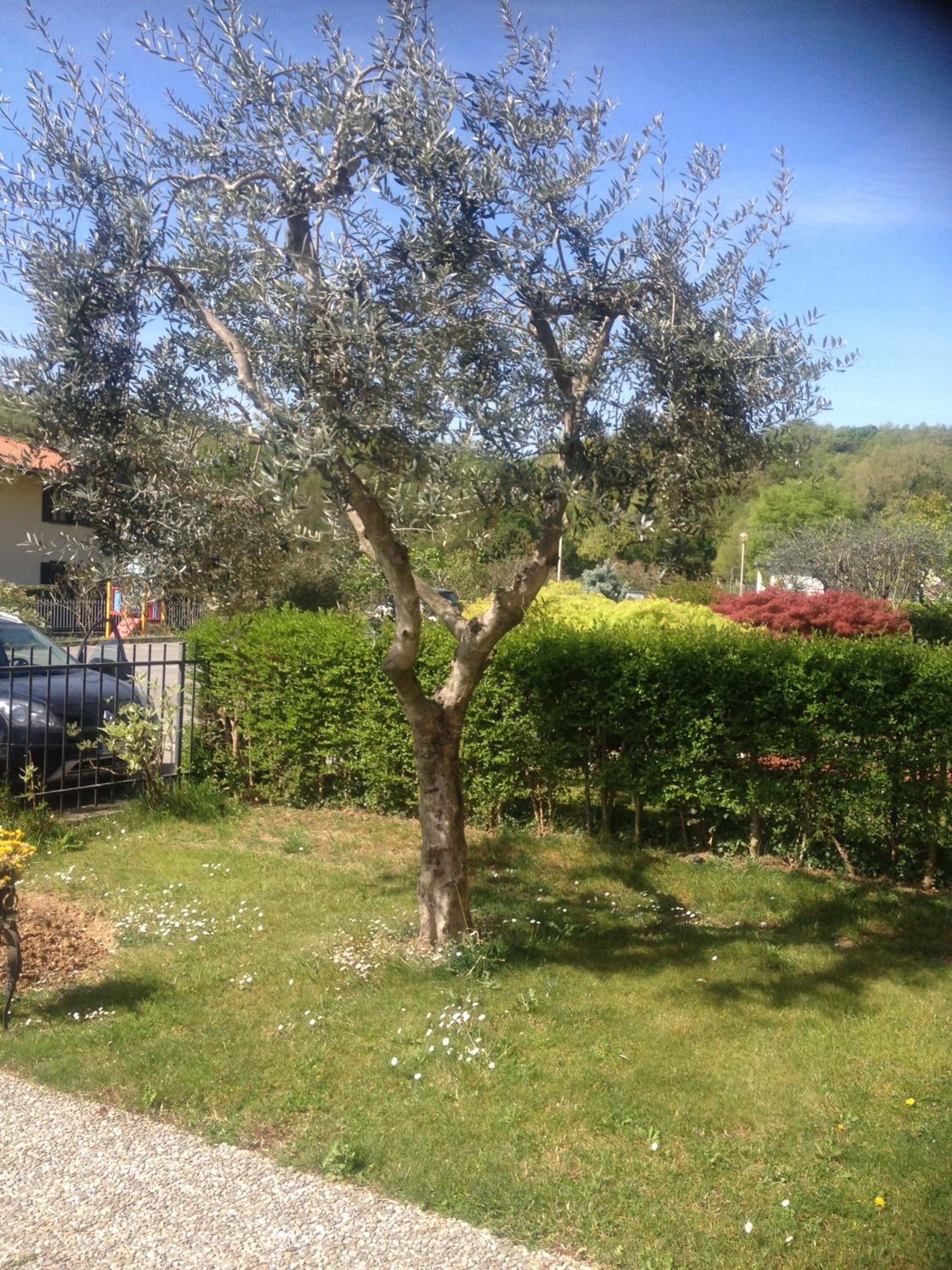 Photo 41