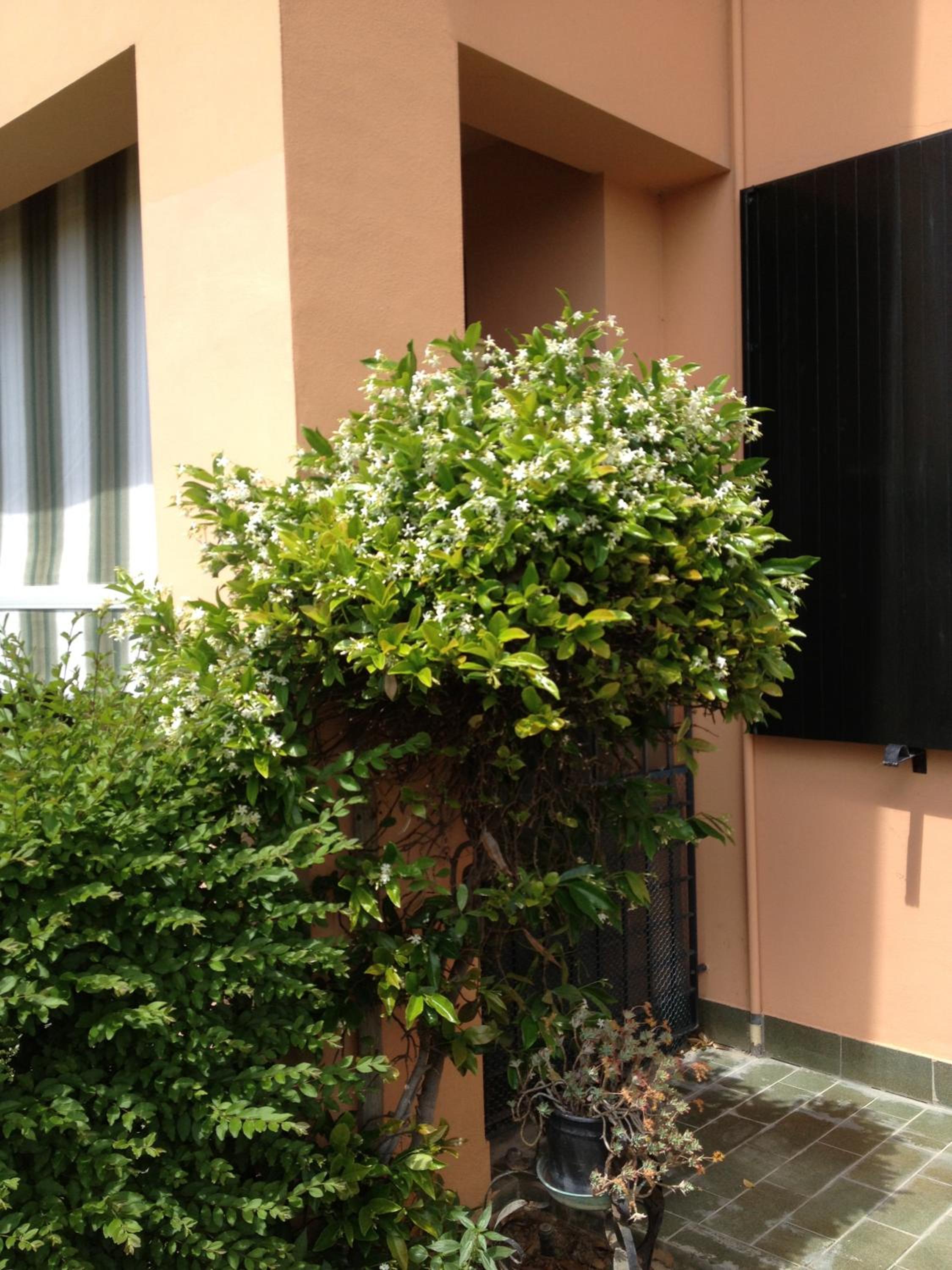 Photo 45