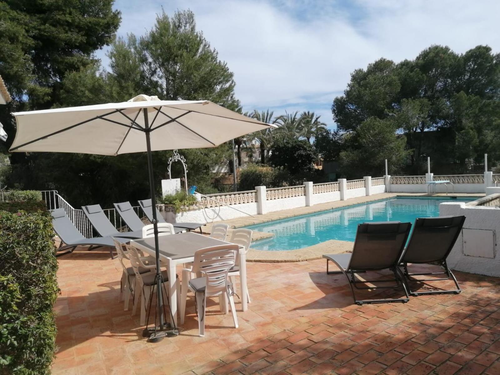 Villa Gaviota — photo 4