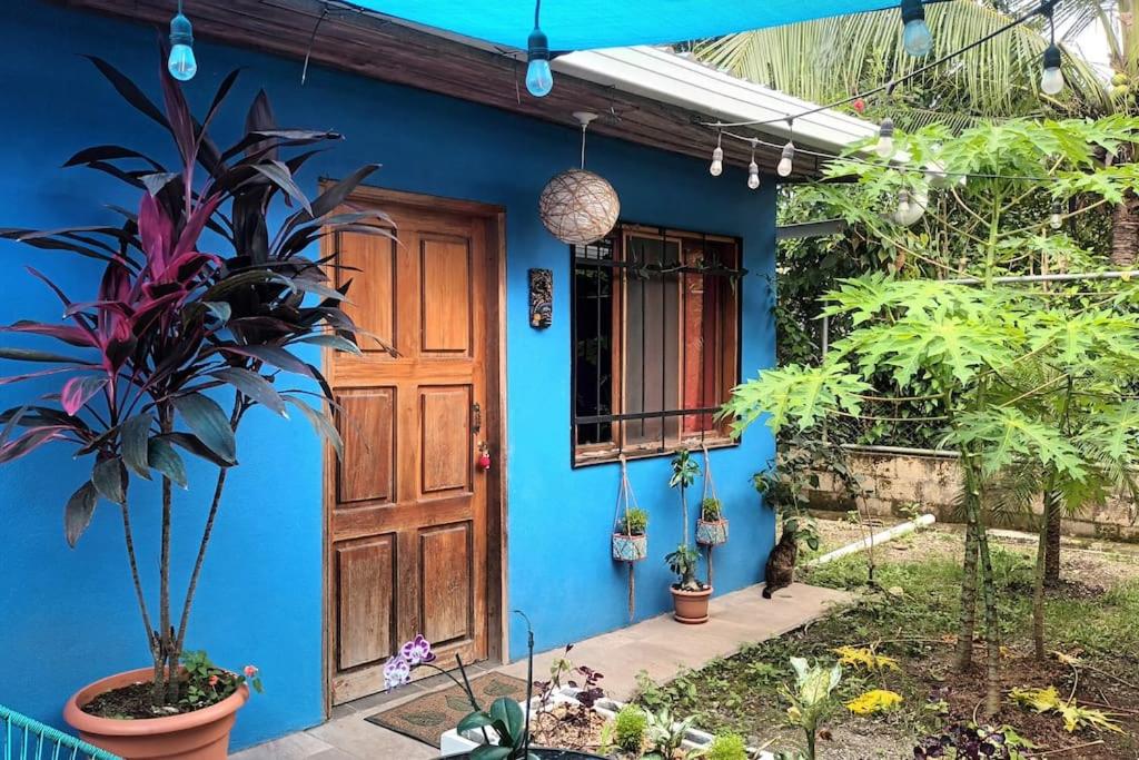 Casita Olivia — photo 4