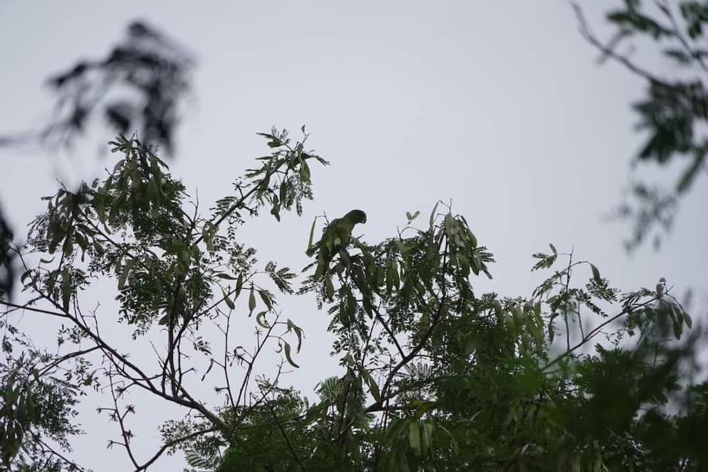 Hotel Casita Olivia - Image 1