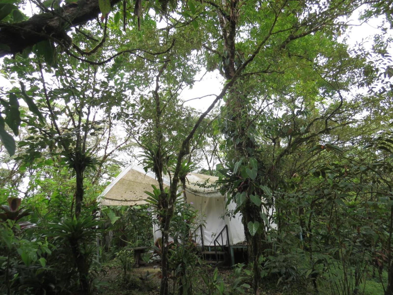 Glamping Rio Celeste Heliconia