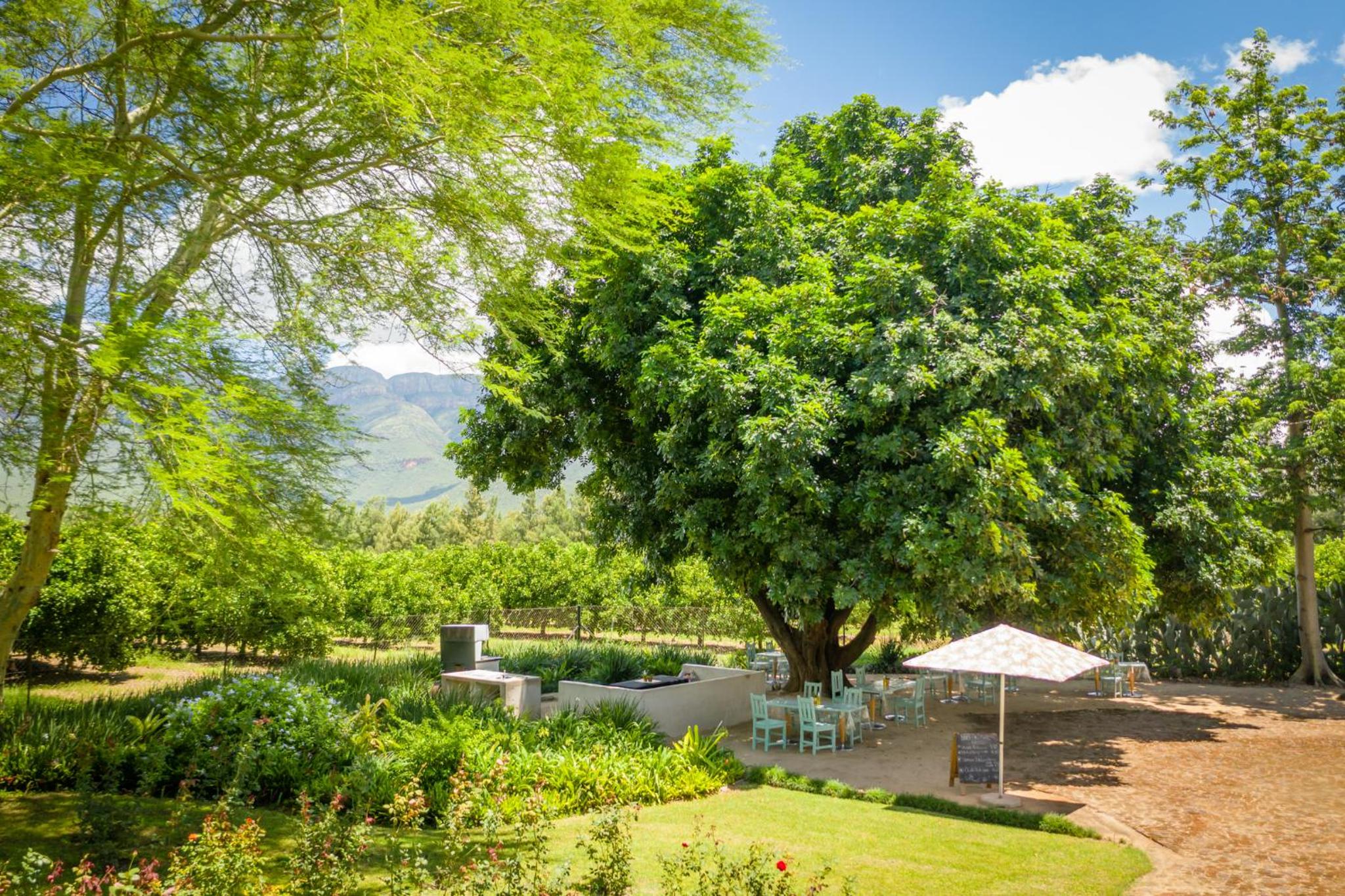 Francines Venue Pty Ltd