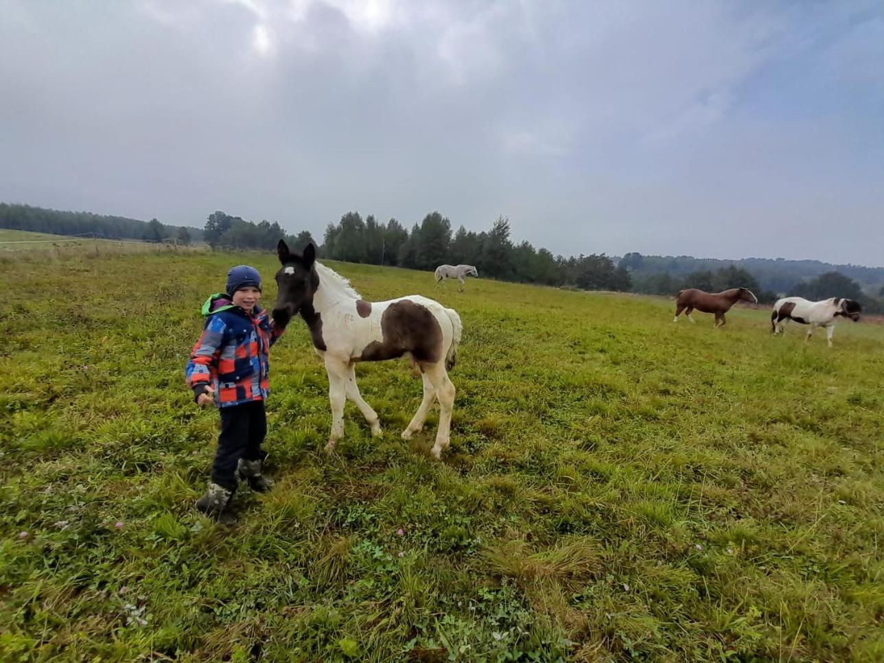 Agroturystyka Stylowy Pokój w Stajni