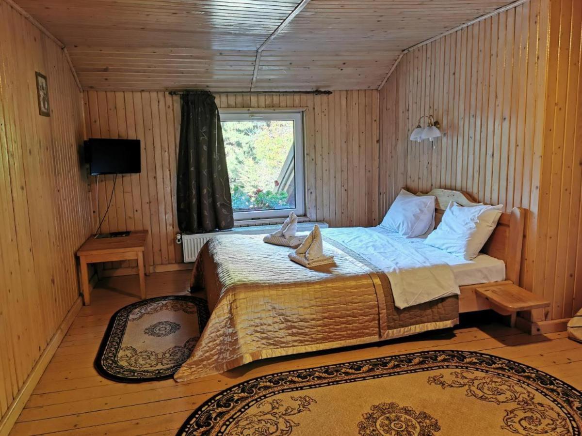Pensiunea Valea Cetatii view 4