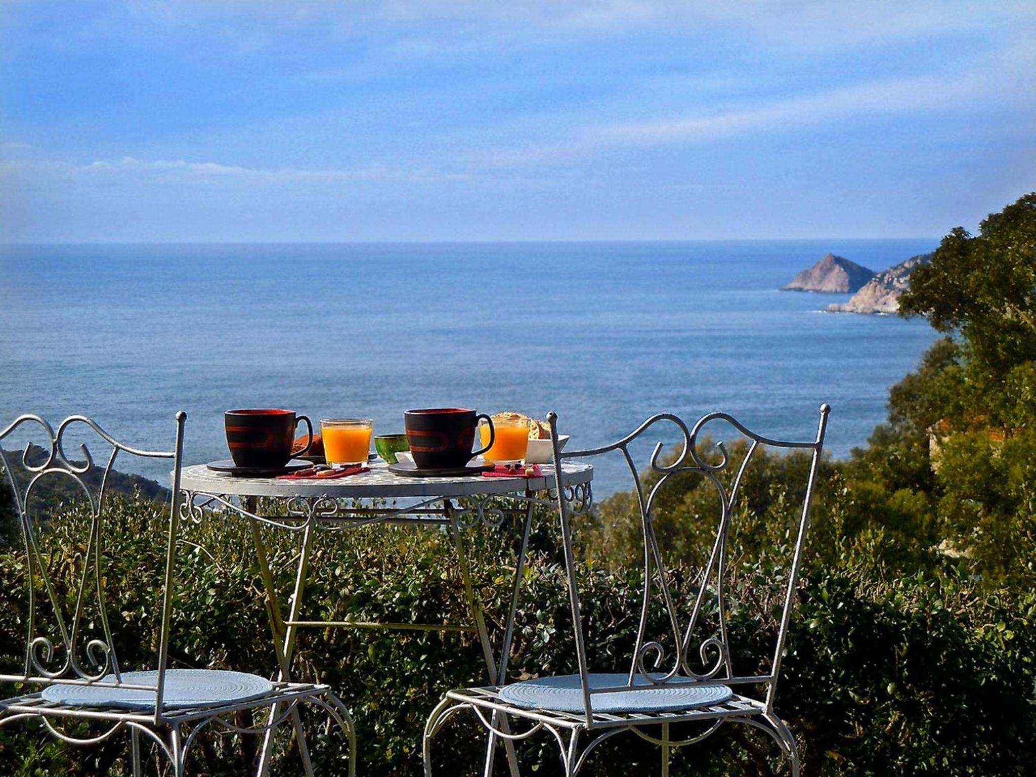 Absolument Levant view 2