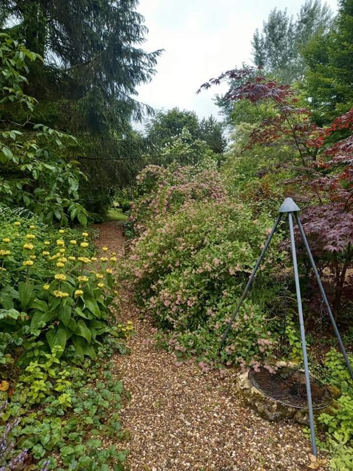 Photo 27