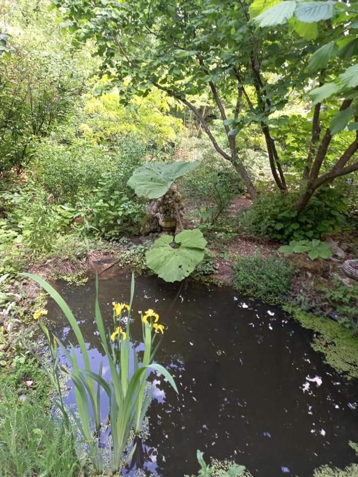 Photo 28