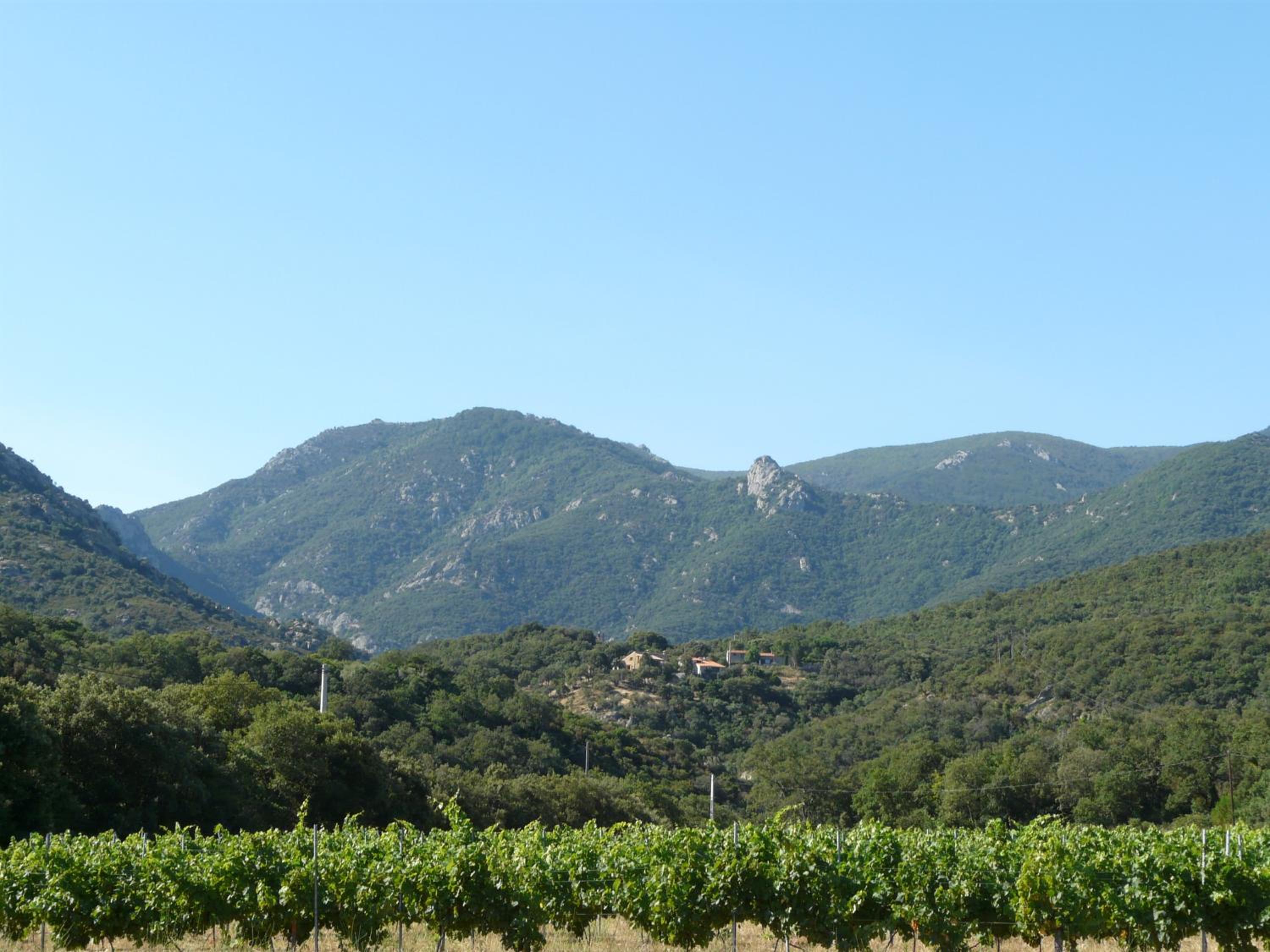 Camping le Rancho view 4