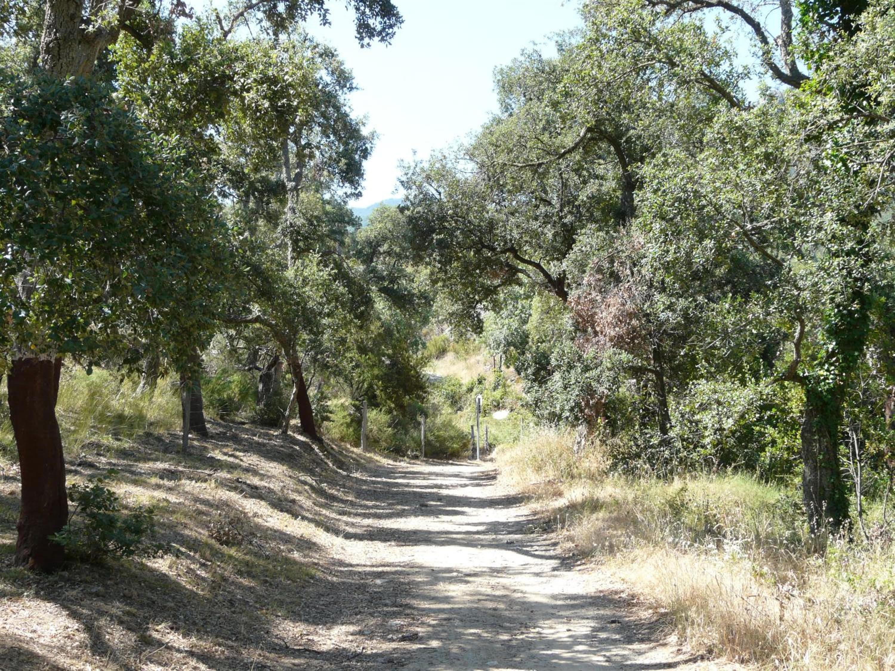 Photo 36