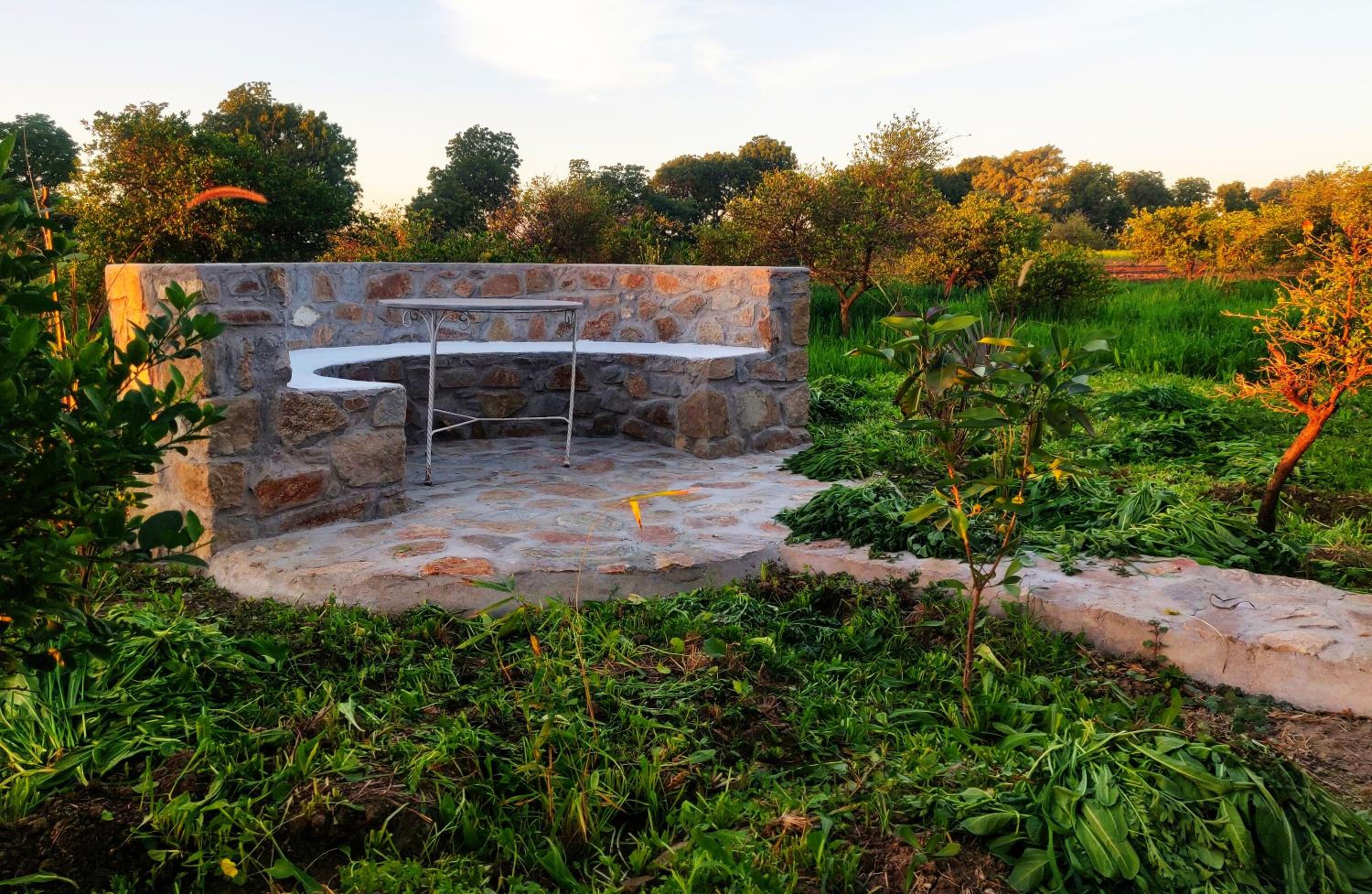 Vriksh Jawai The farm stay