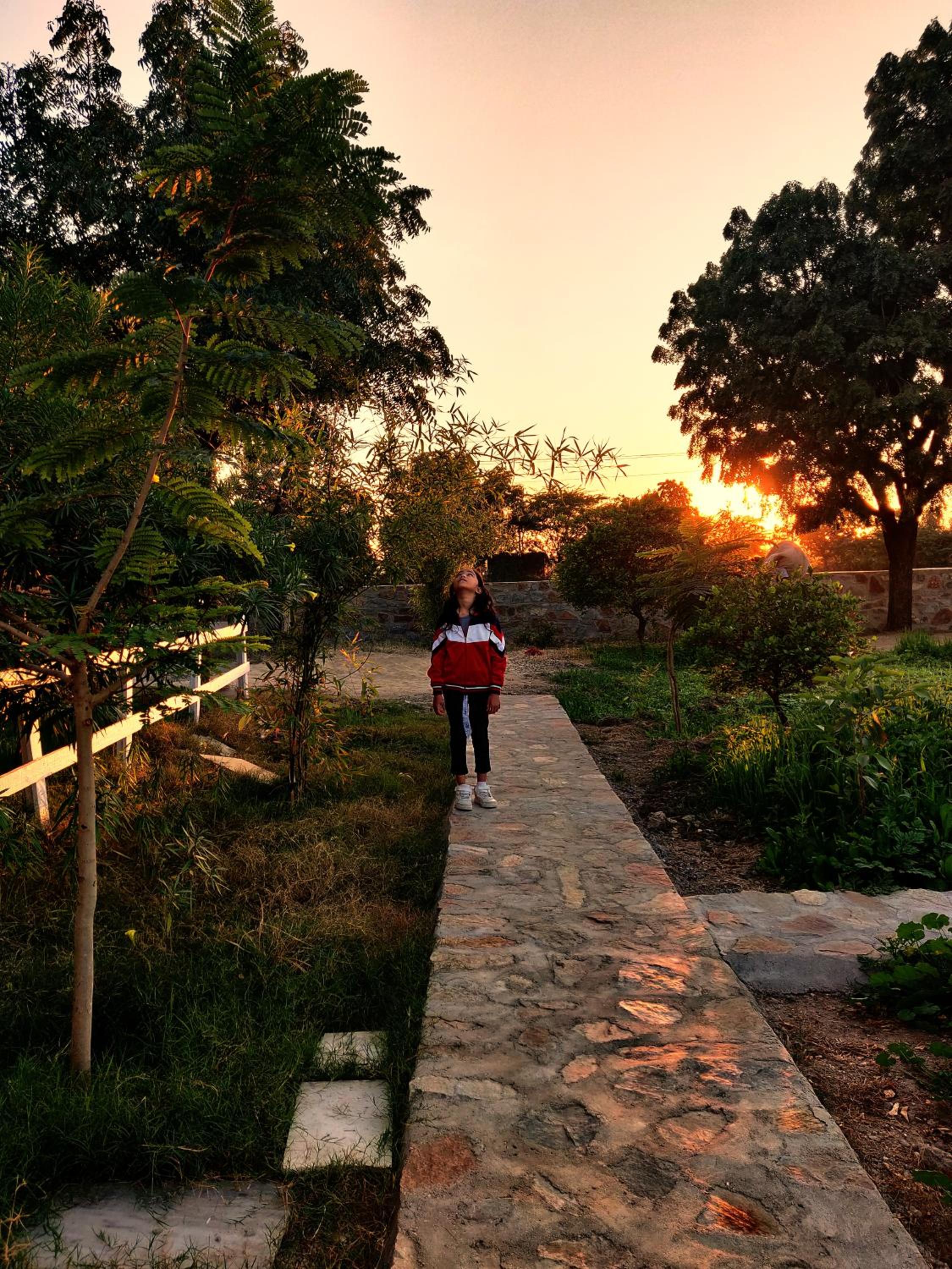 Vriksh Jawai The farm stay view 3