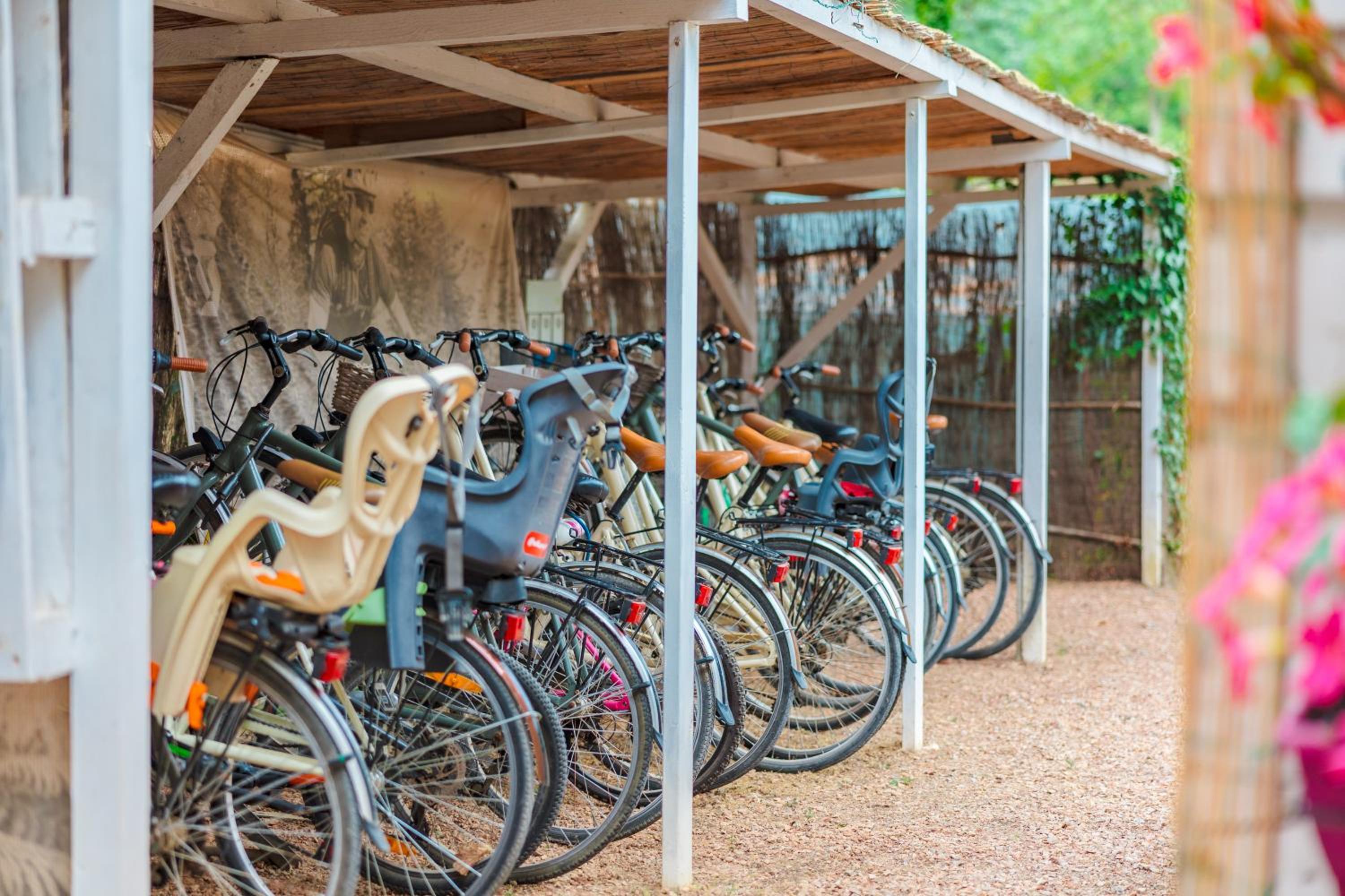 Le Pianacce Camping Village