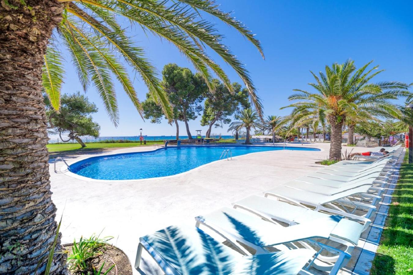 Camping Las Palmeras view 5
