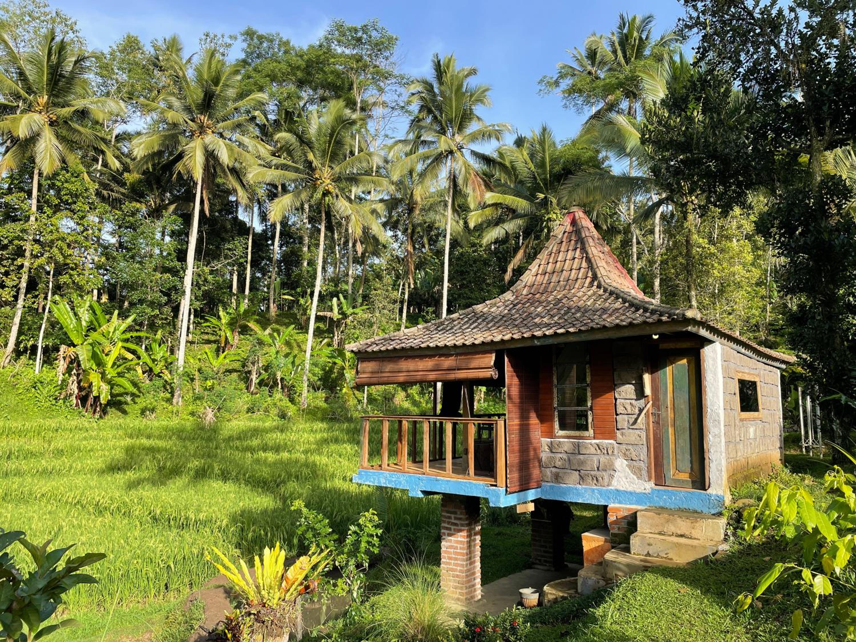 Tepi Sawah Lodge & Retreat view 2