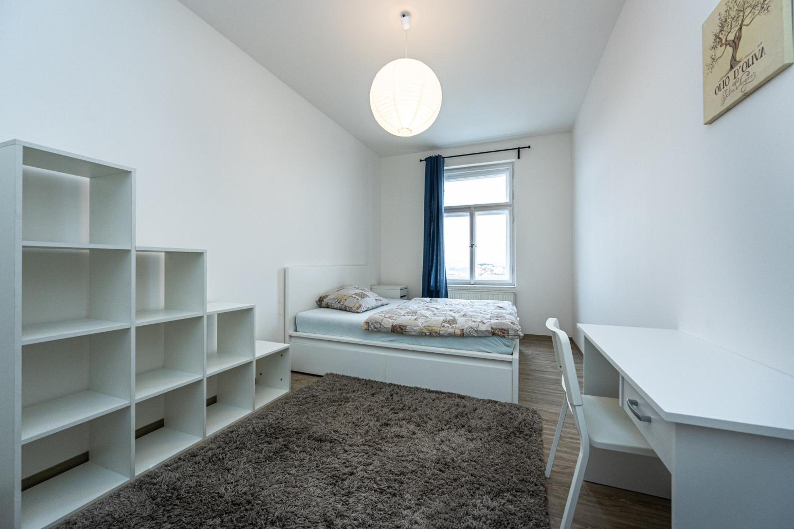 Apartment Americká 8