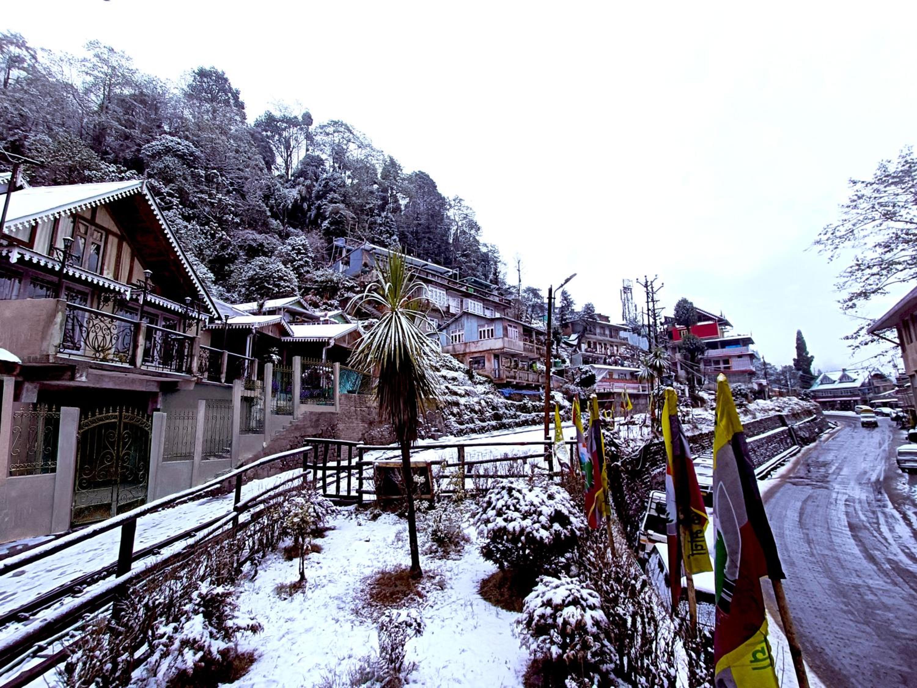 Marigold Manor Homestay view 2