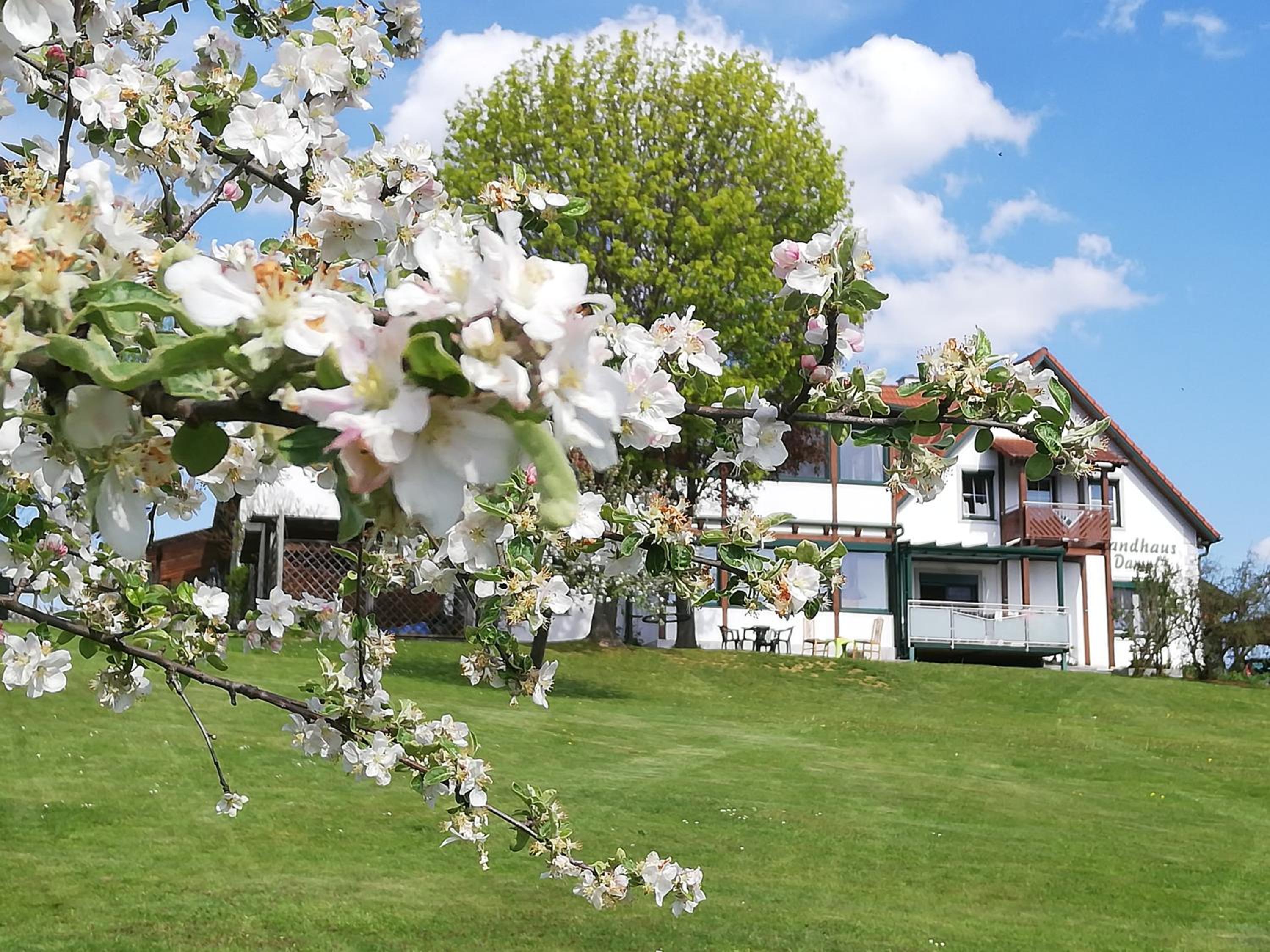 Landhaus Dampf