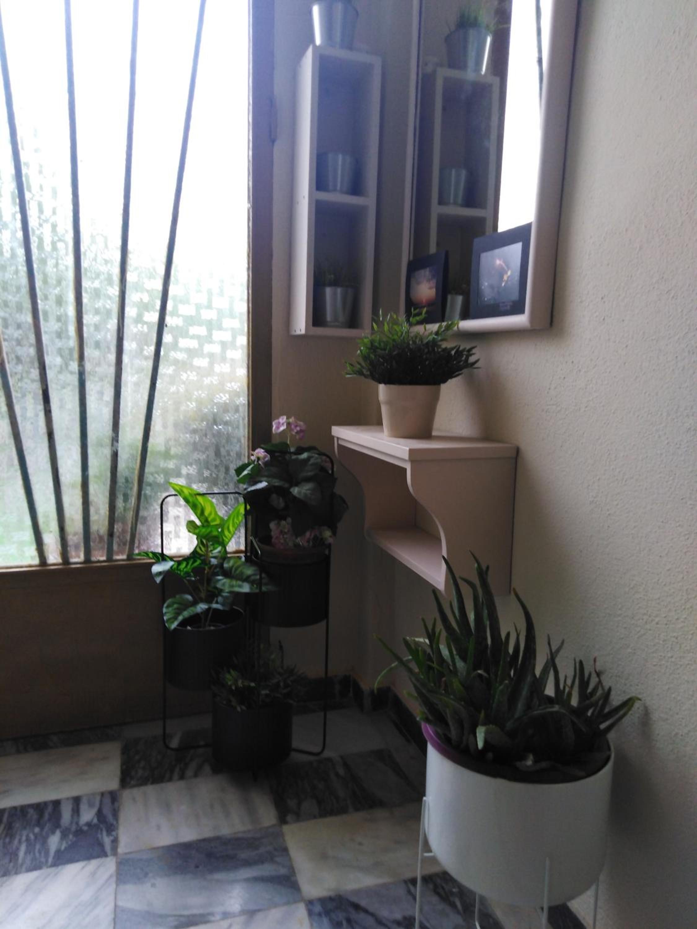 Photo 35