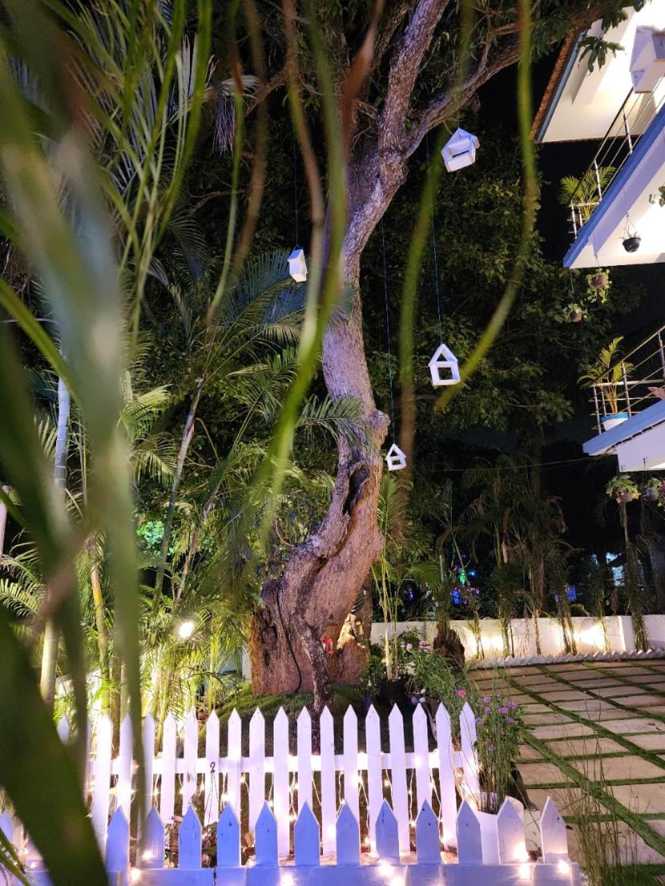 Blue Jay Guest house