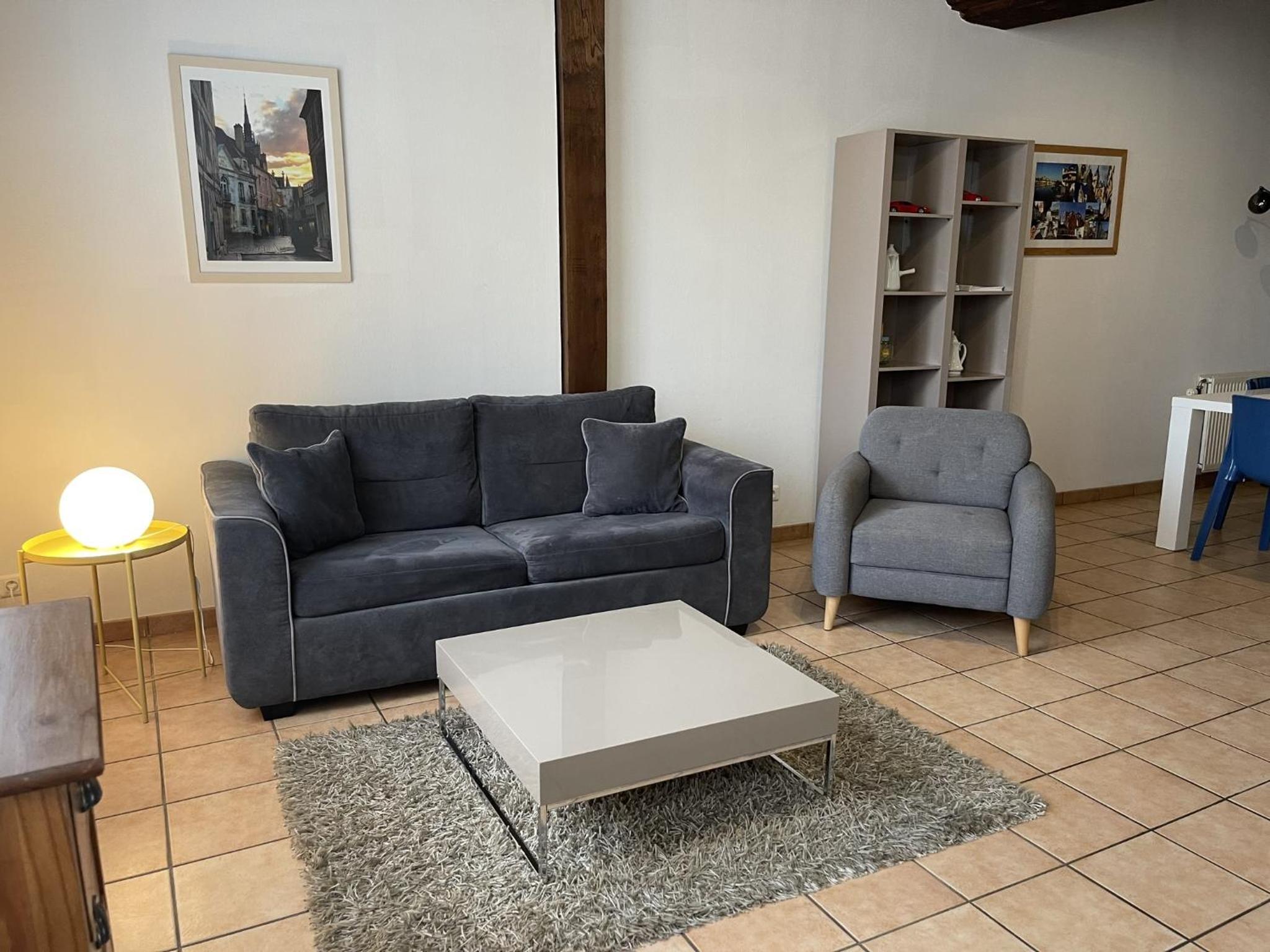 Appartement Le Coche d'Eau Auxerre Les Quais view 4