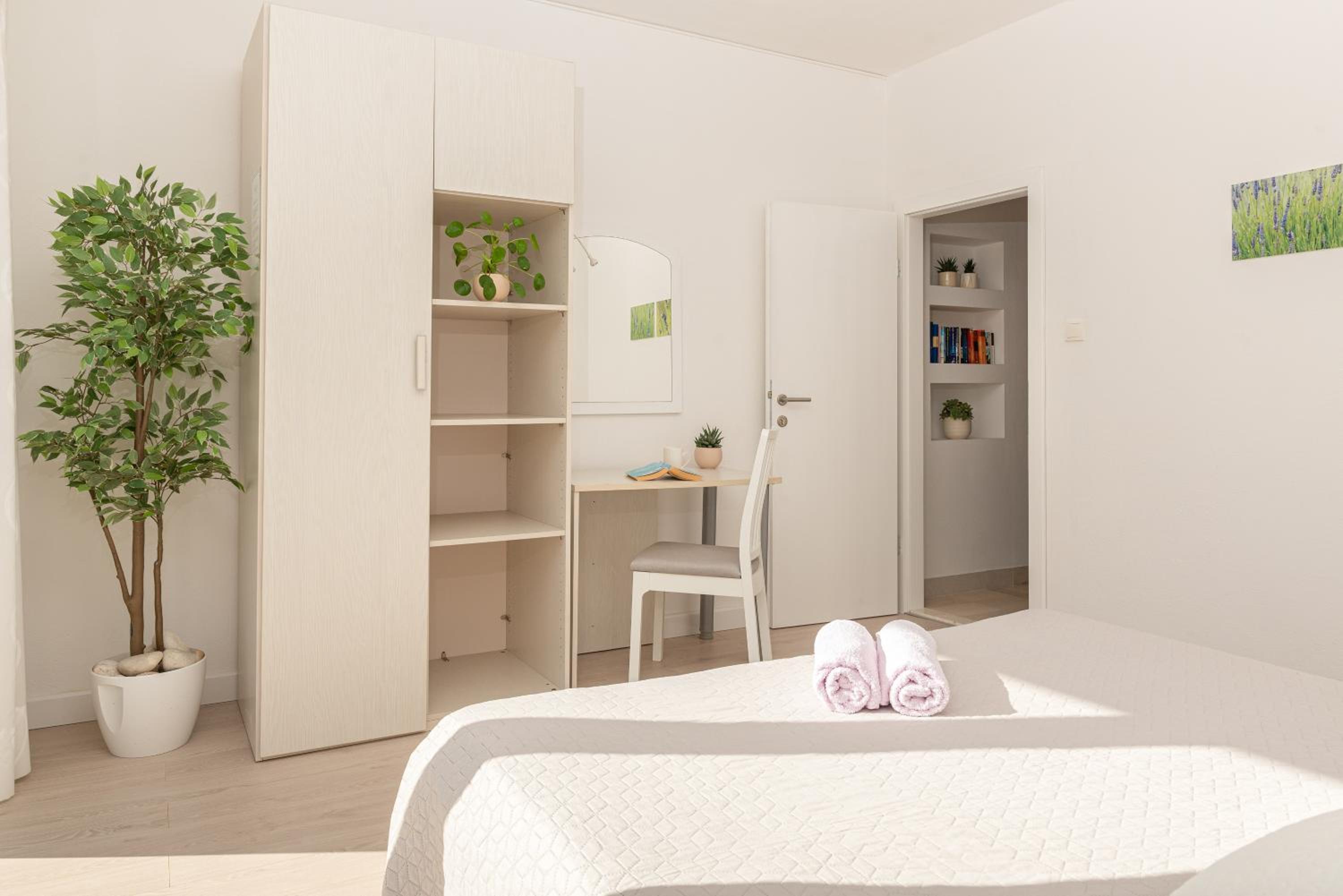 Apartments Olive Tree view 4
